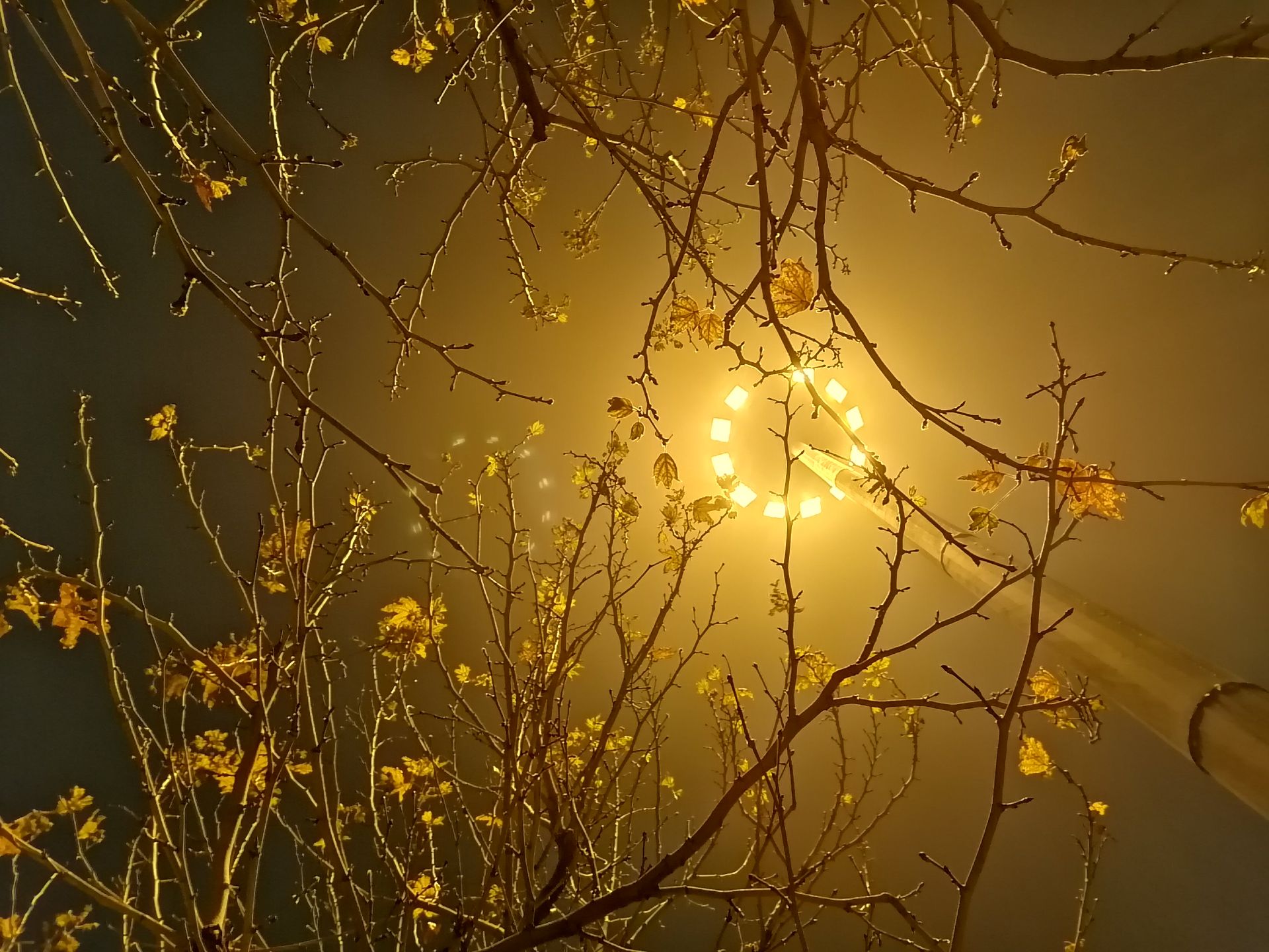 نمونه تصویر شب گرفته شده با دوربین اصلی آنر ۹ ایکس - حالت Night