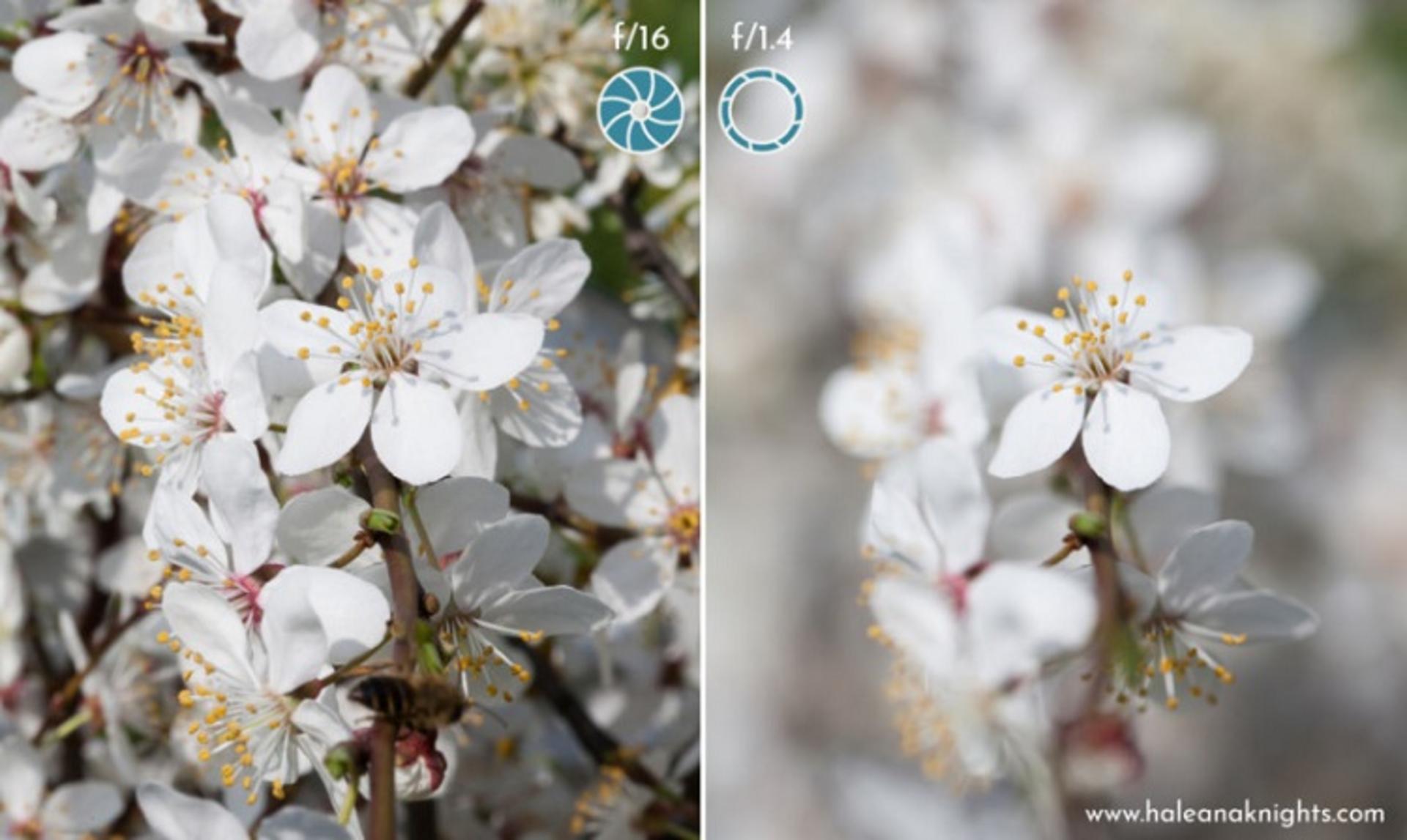 ۵ گام برای استفاده از تنظیمات دستی در عکاسی با دوربین 