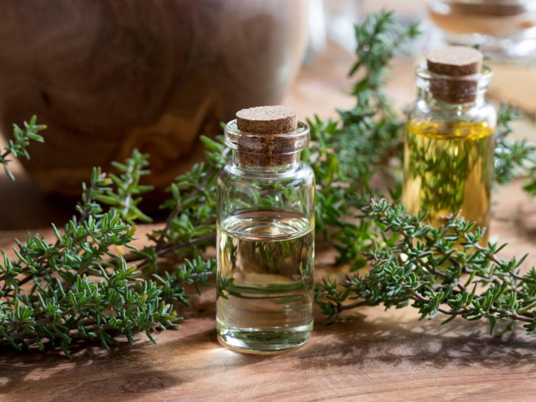 روغن آویشن و درمان تبخال