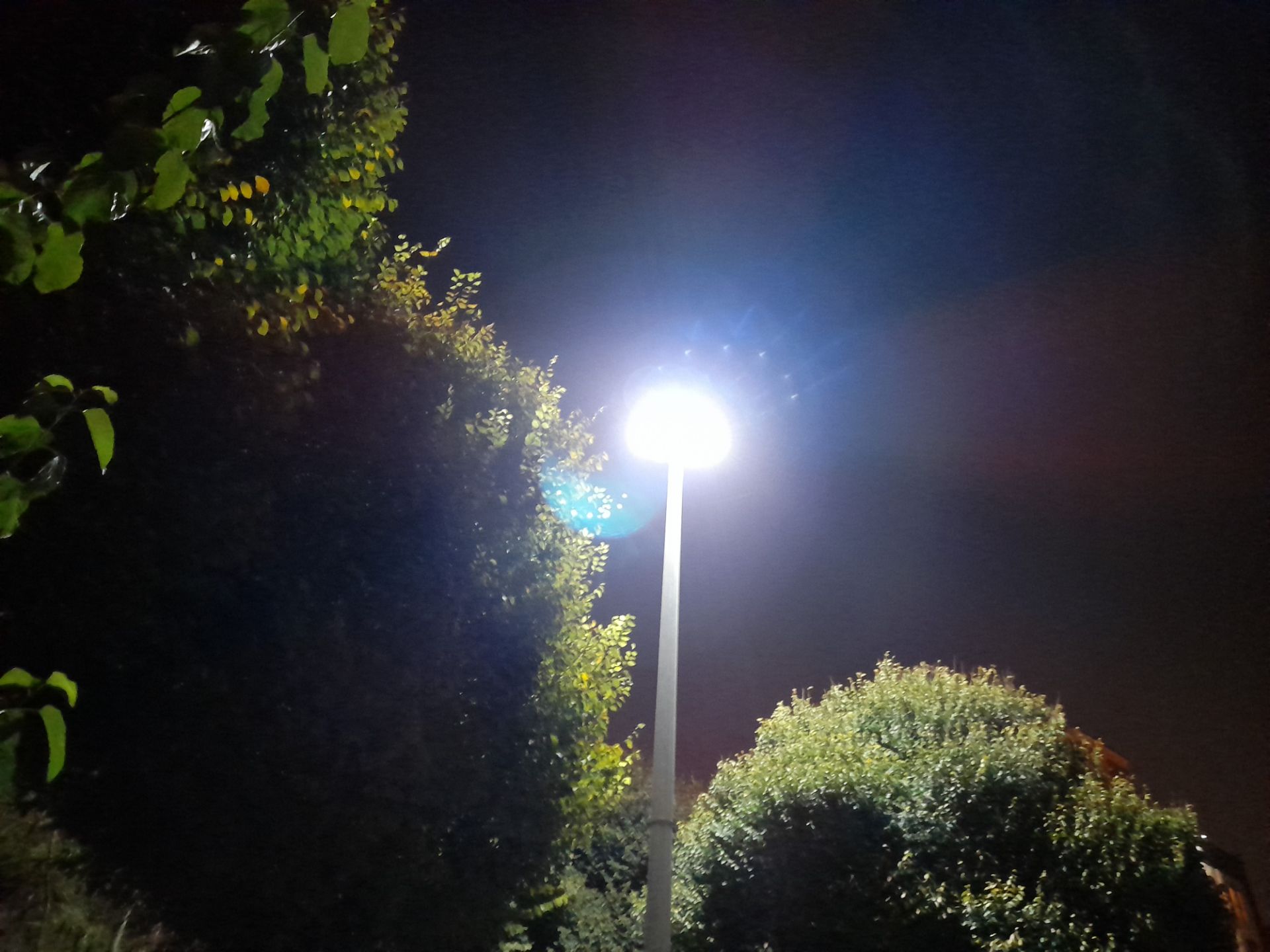 نمونه عکس دوربین واید گلکسی A21s در تاریکی - چراغی در پارک ساحل شاهین شمالی