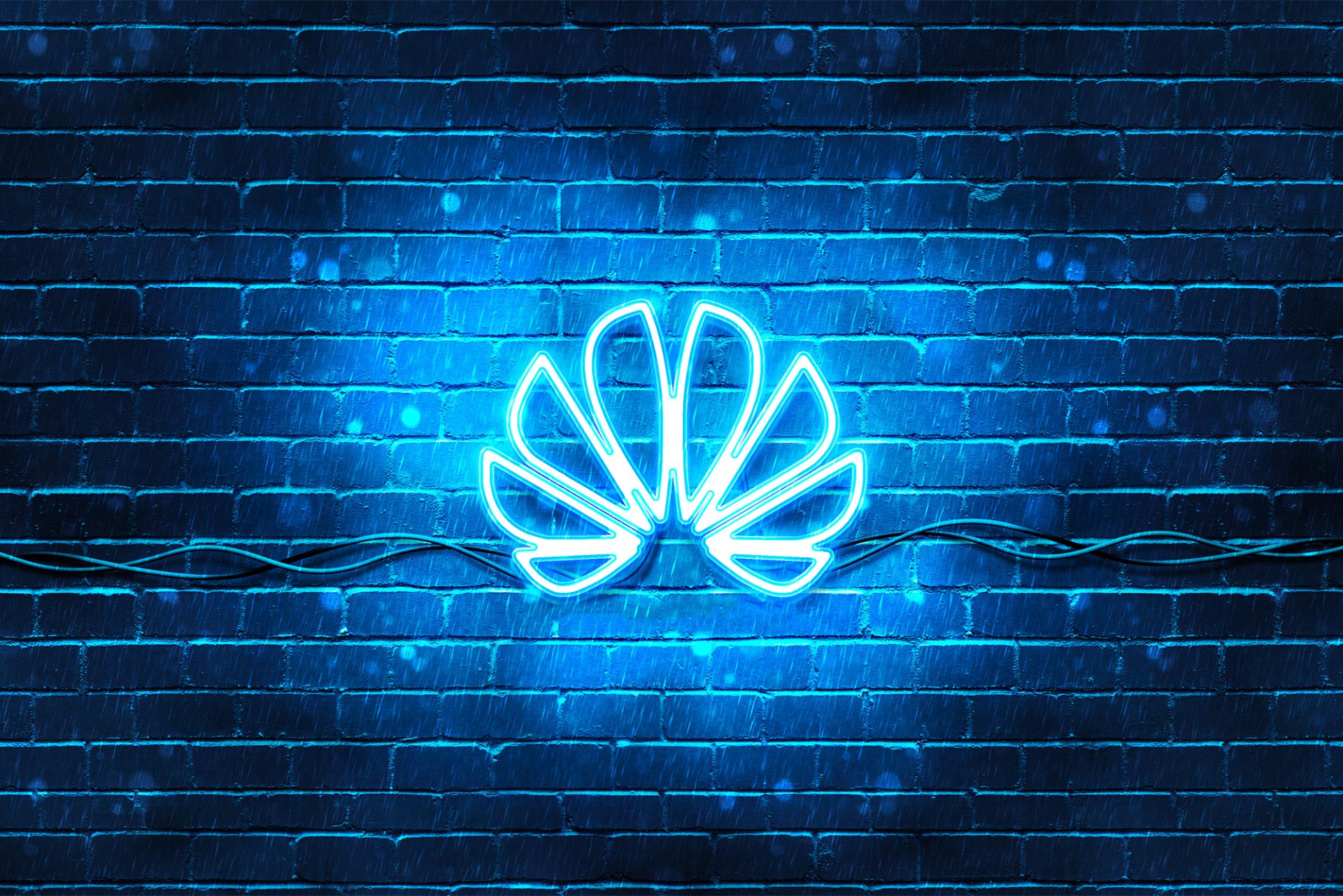لوگو هواوی / Huawei Logo روی دیوار
