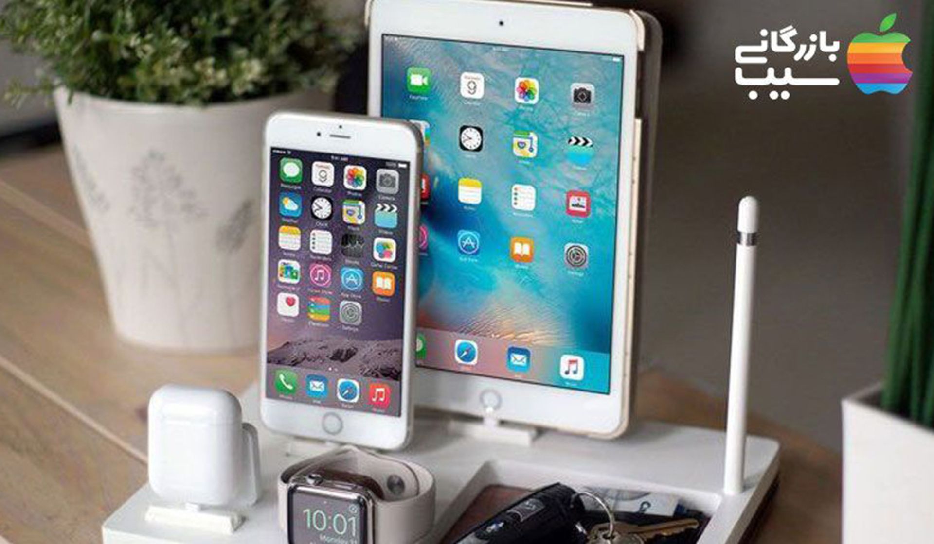 بازرگانی سیب