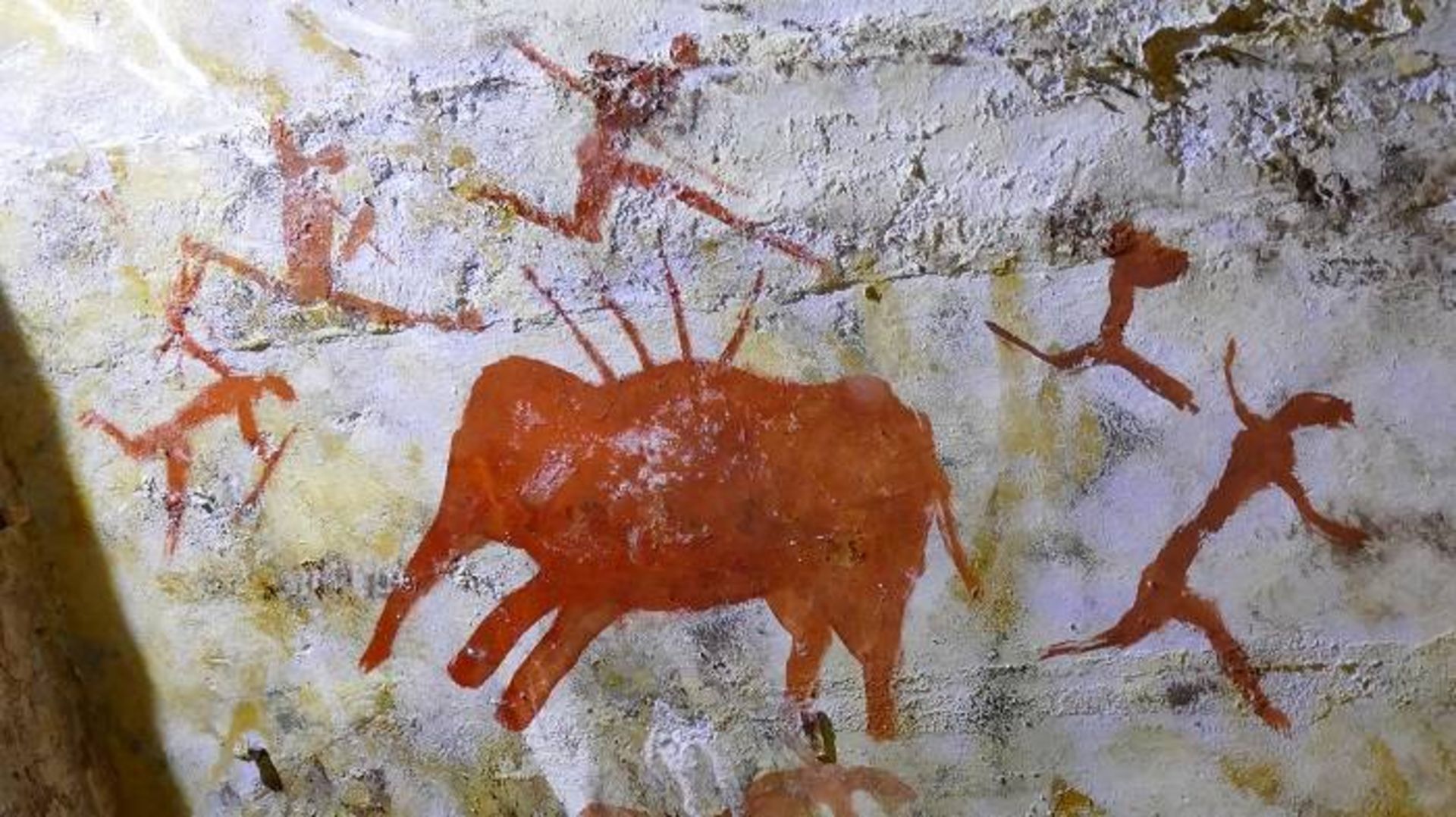 نقاشی از غار آلتامیرا در اسپانیا