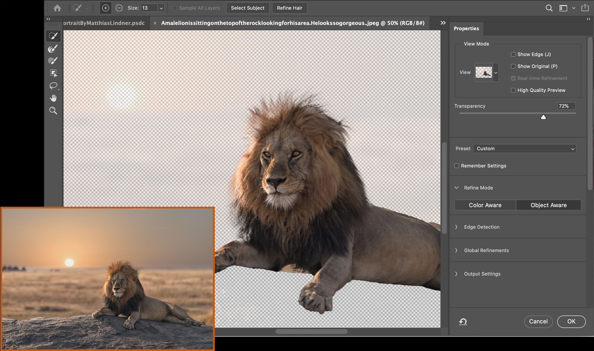 ابزار هوشمند Refine Hair با شیر جنگل در فتوشاپ / Photoshop