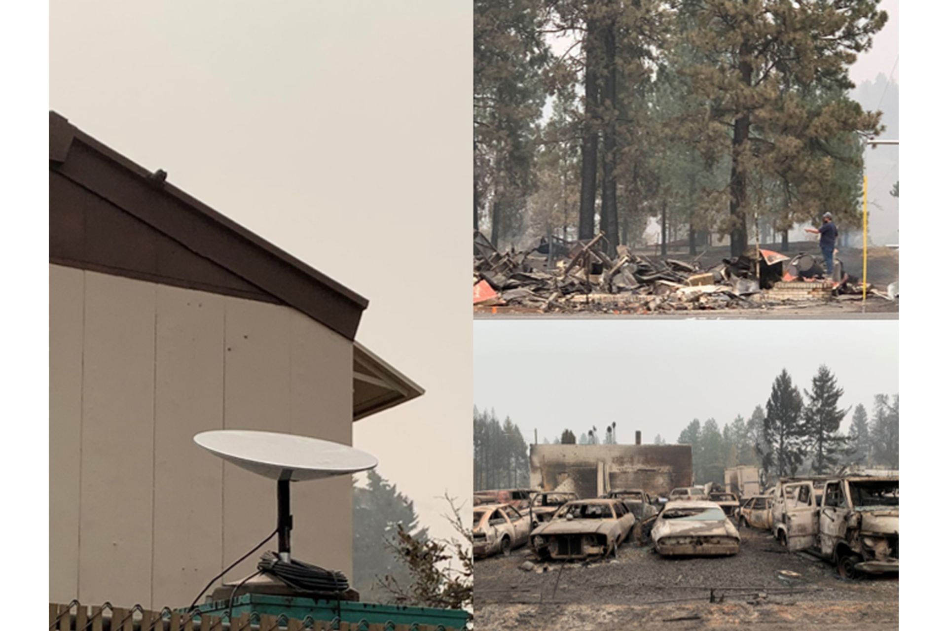 پایانه استارلینک / Starlink در مناطق سوخته واشینگتن