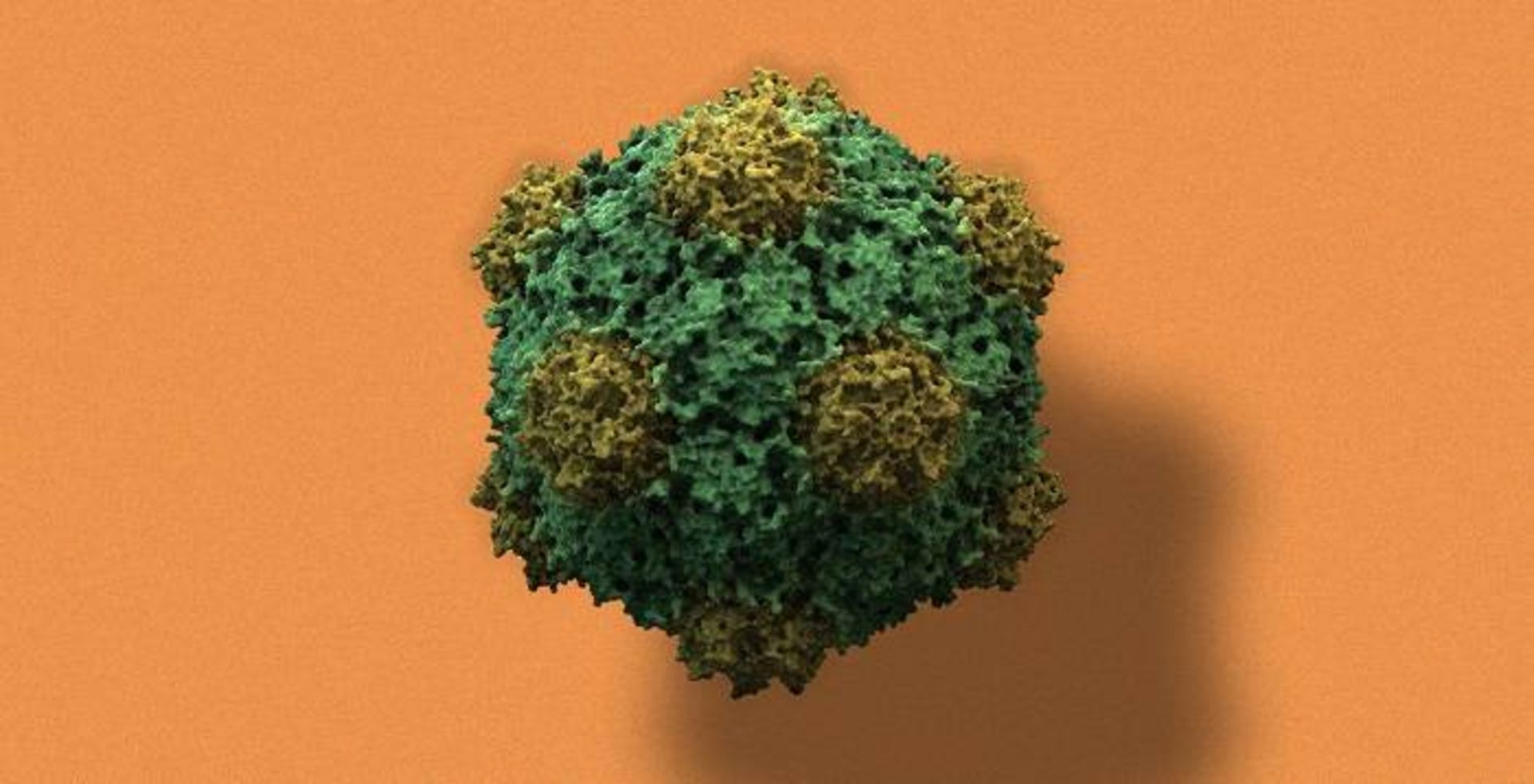 ویروس موزاییک لوبیا چشم بلبلی