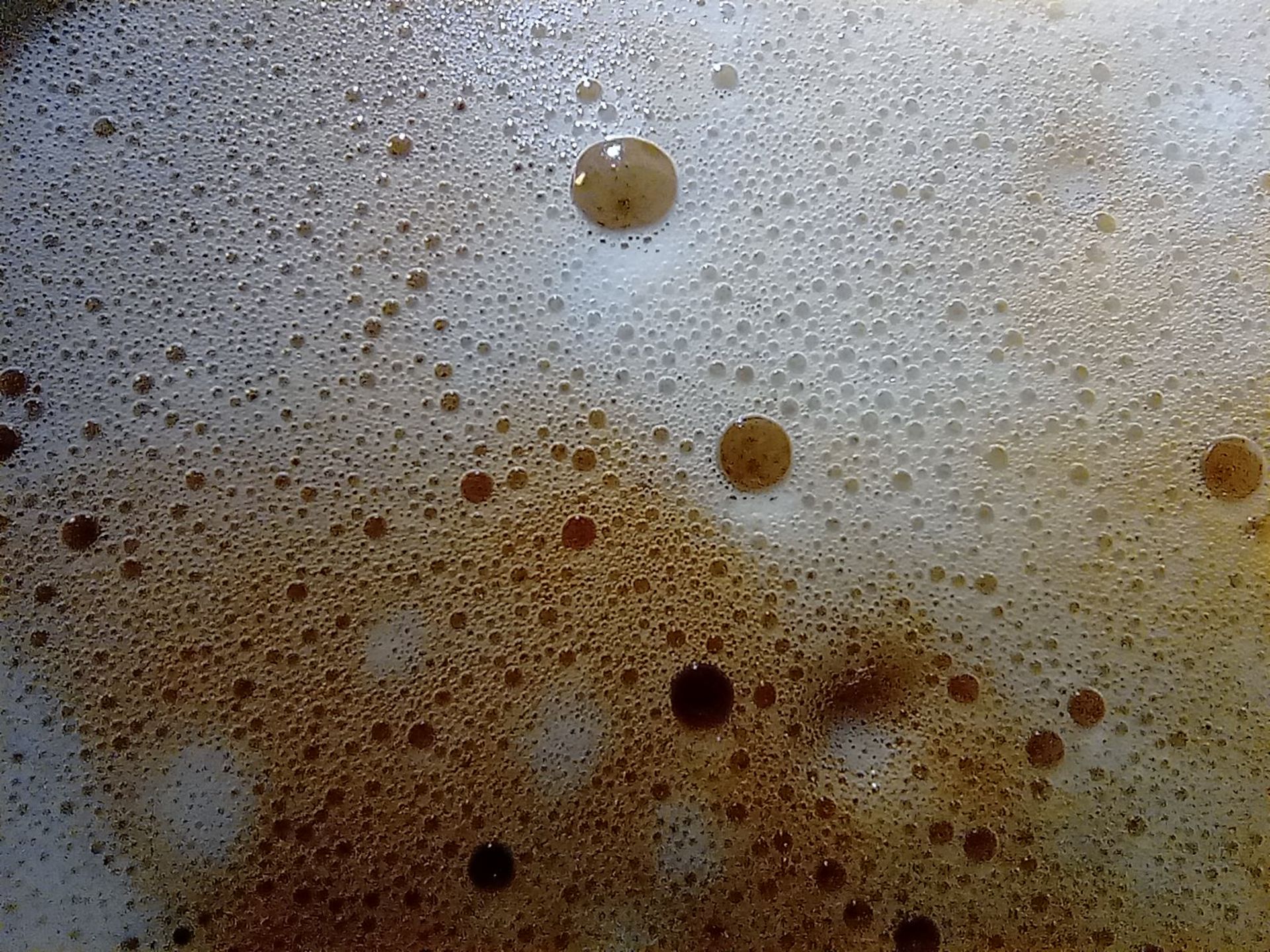 نمونه عکس دوربین ماکرو ردمی نوت ۹ - ماکرو