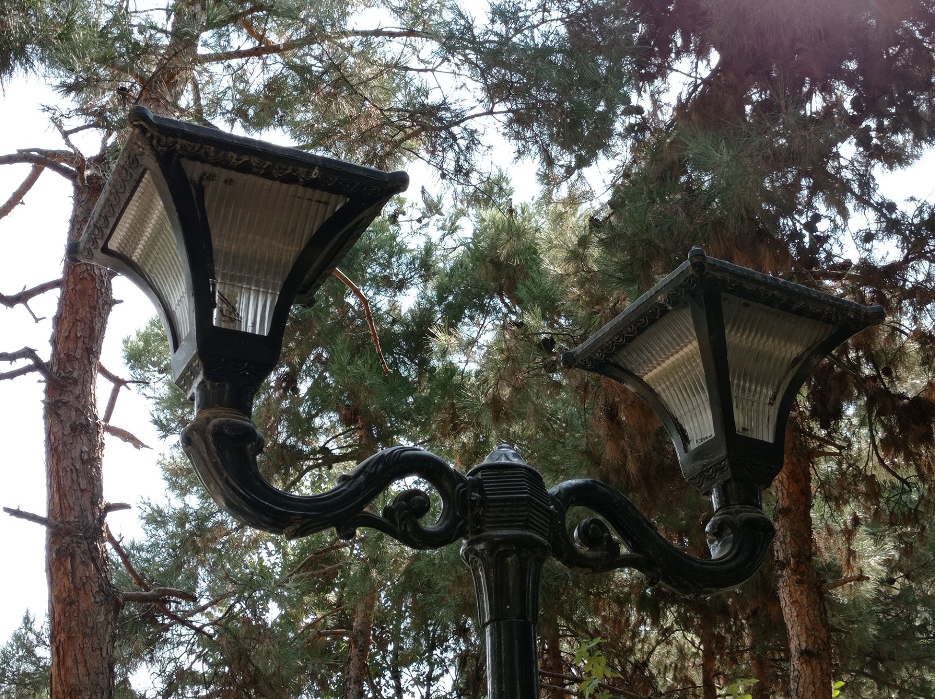 نمونه عکس 2x دوربین اصلی ردمی نوت ۹ در روشنایی - چراغی در پارک صبا جردن