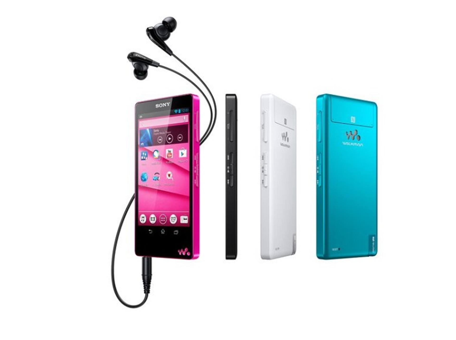 2013 - Sony Walkman NW-F880