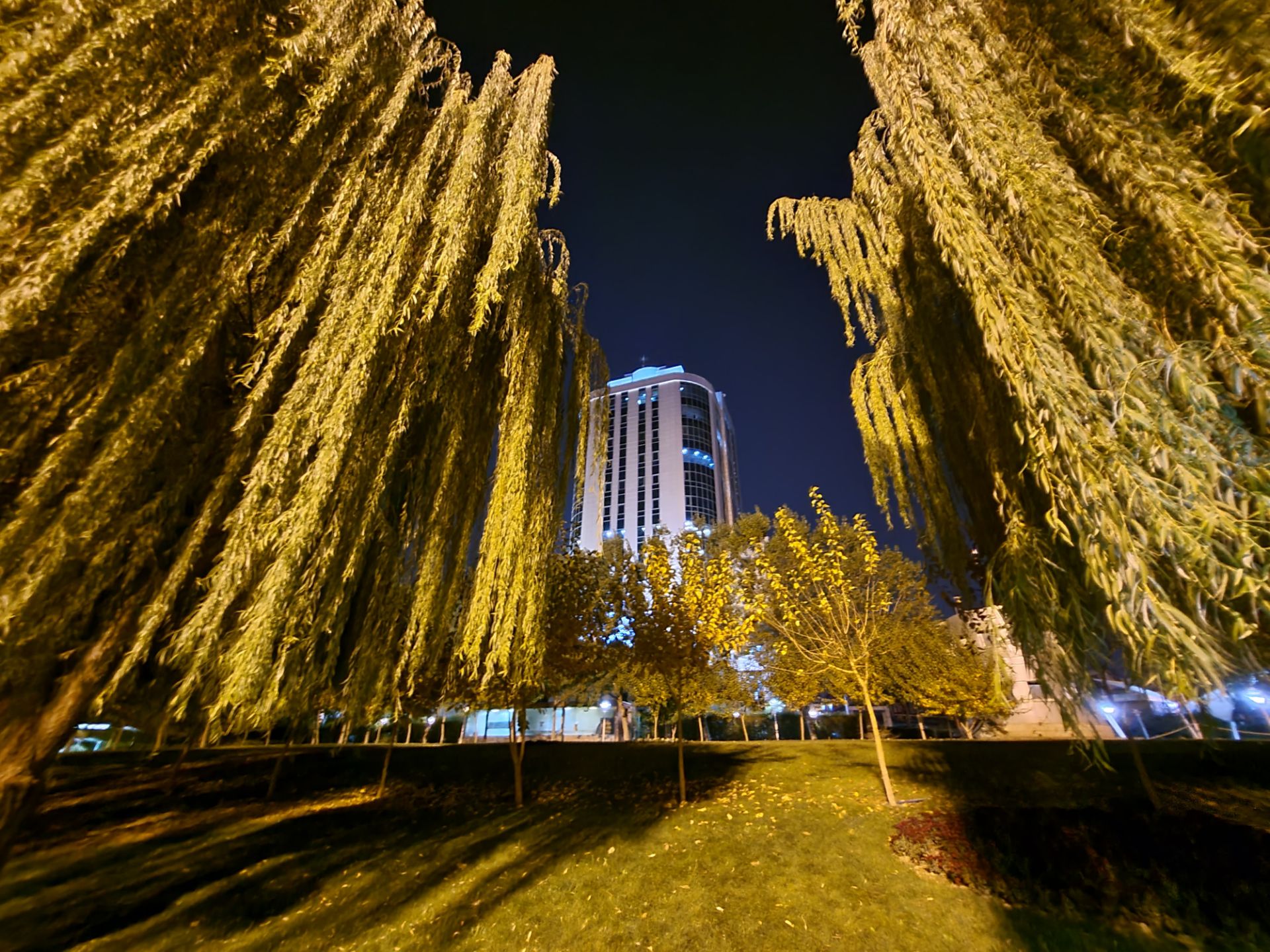 نمونه عکس اولتراواید گلکسی زد فولد ۲ در تاریکی - ساختمانی در میان درختان پارک آب و آتش تهران
