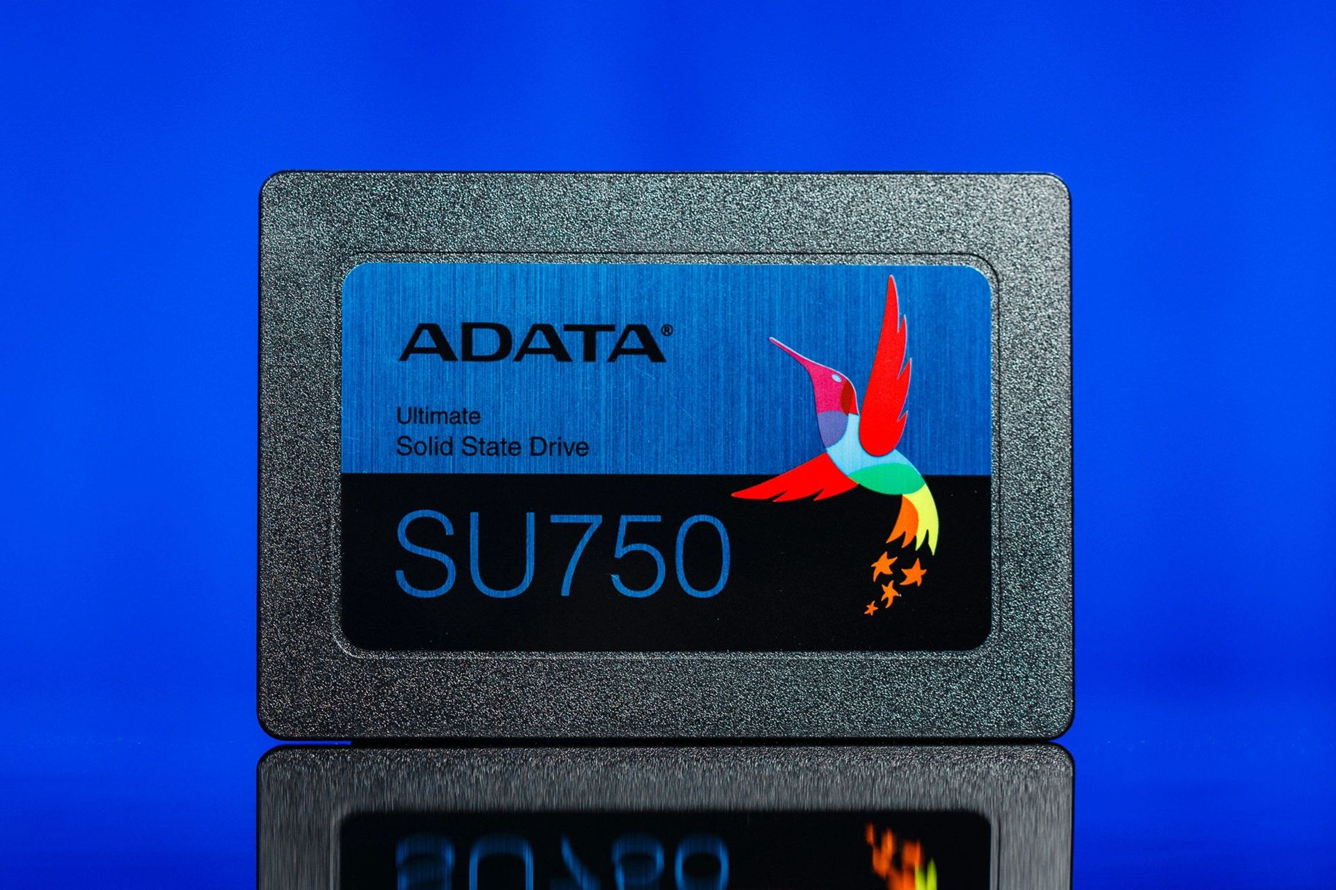 درایو اس اس دی / SSD ای دیتا / ADATA از نمای جلو