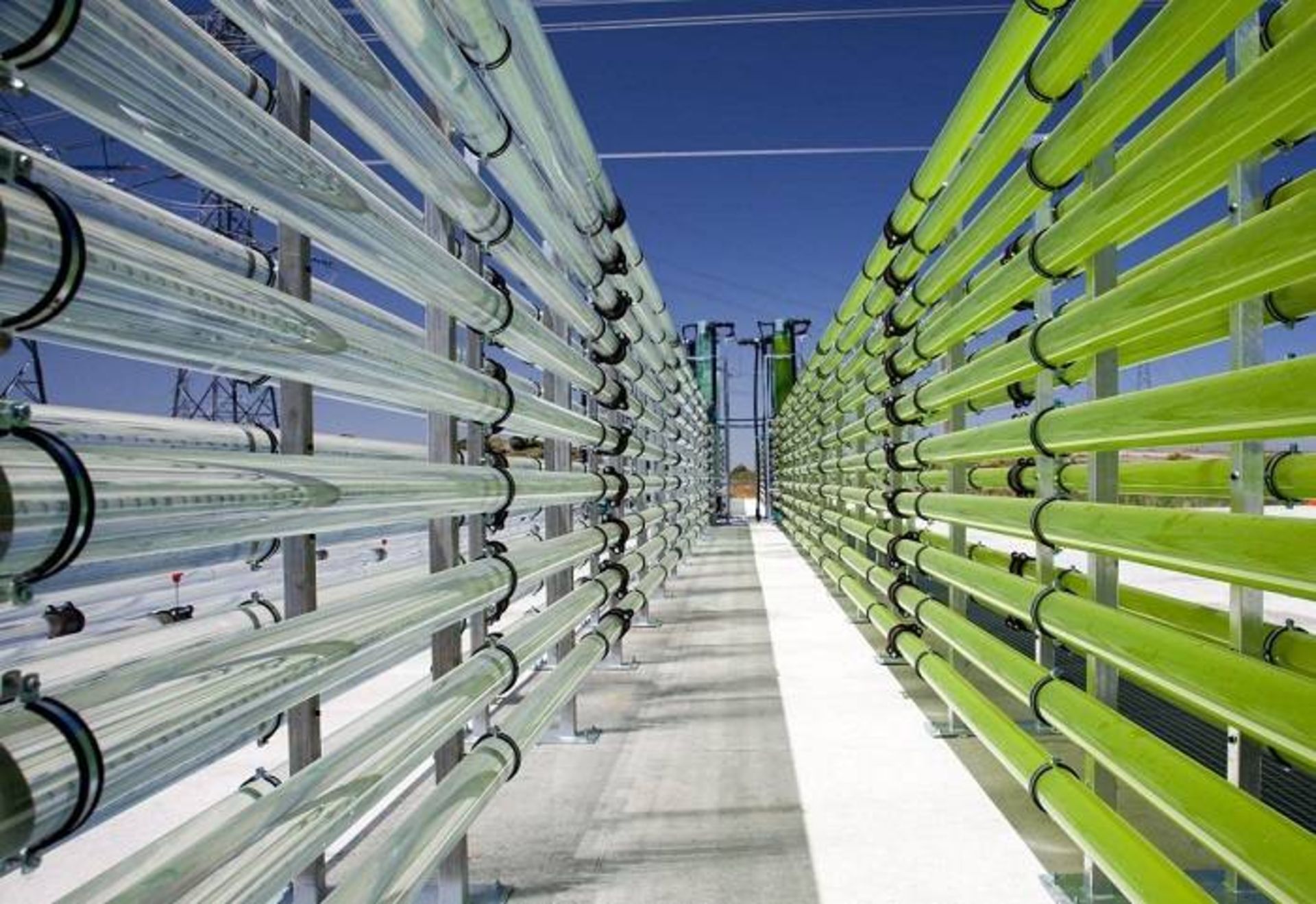 رآکتور زیستی مبتنی بر جلبک / algae bioreactor