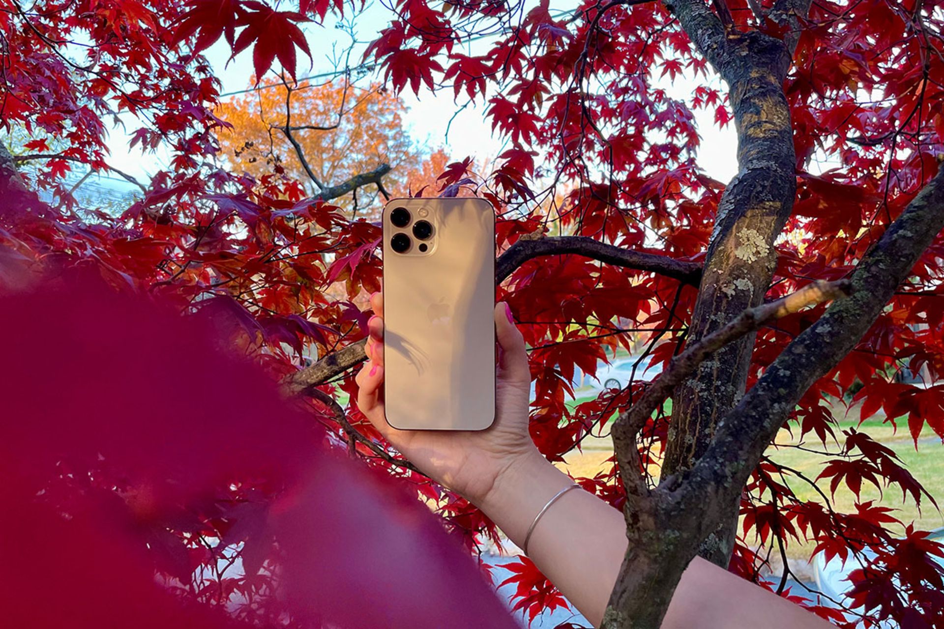 گوشی آیفون ۱۲