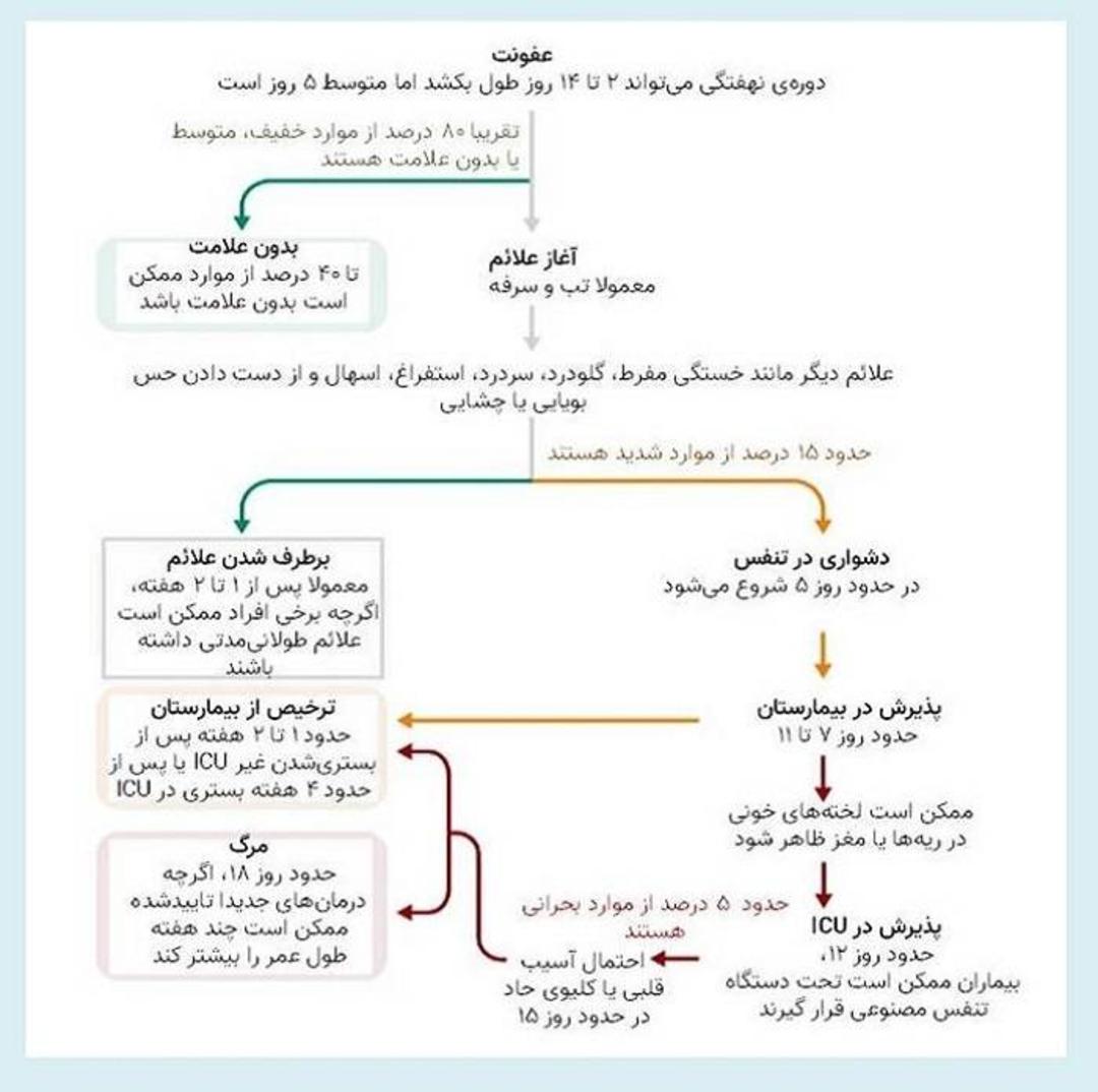 نحوه پیشرفت علائم کووید ۱۹ / COVID19 symptoms progress