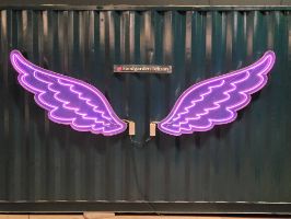 نمونه عکس 2x دوربین تله فوتو گلکسی زد فولد ۲ در تاریکی - بال پرواز باغ کتاب تهران