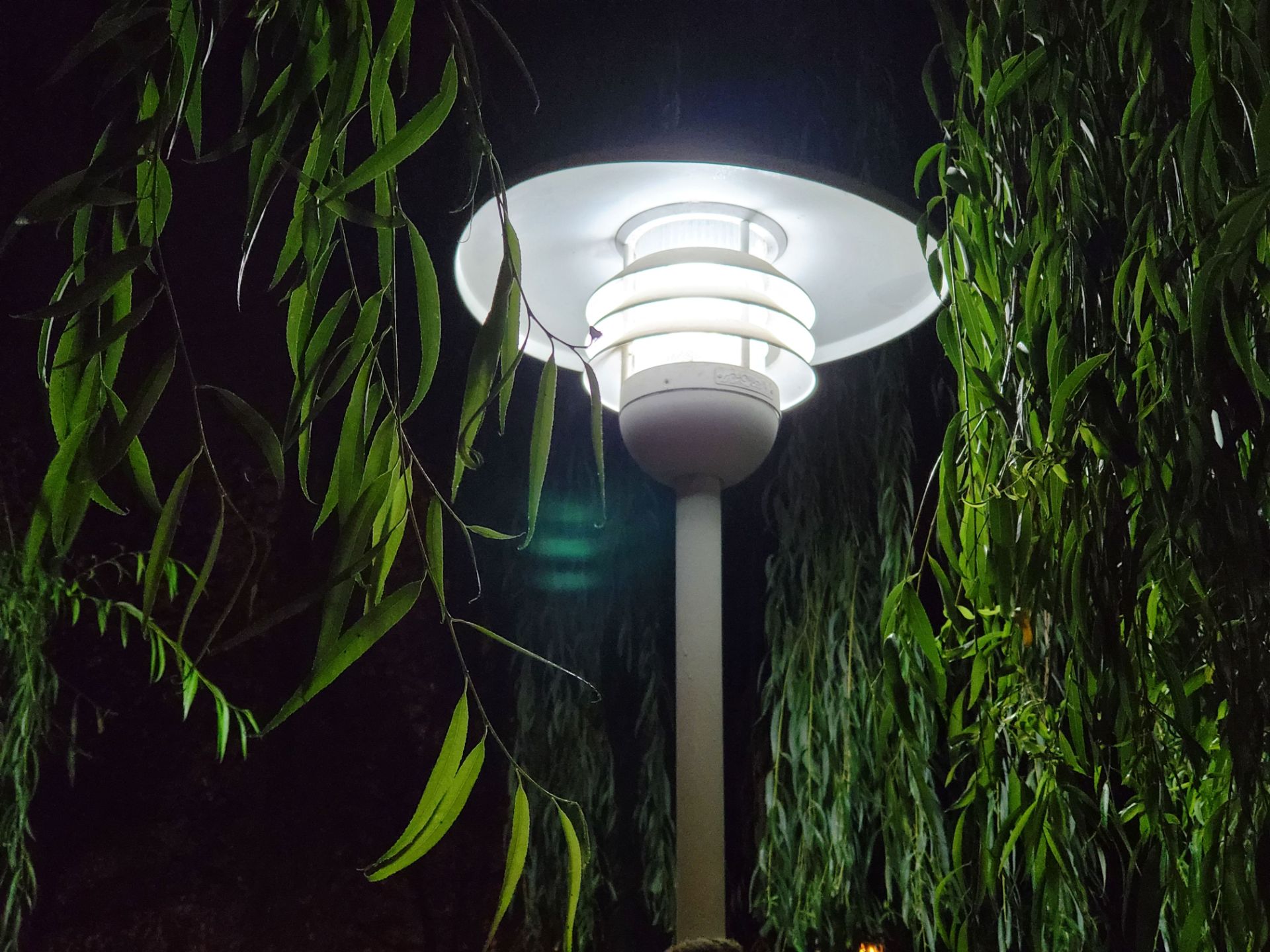 نمونه عکس 2x دوربین تله فوتو گلکسی زد فولد ۲ در تاریکی - چراغی در میان درختان پارک آب و آتش تهران