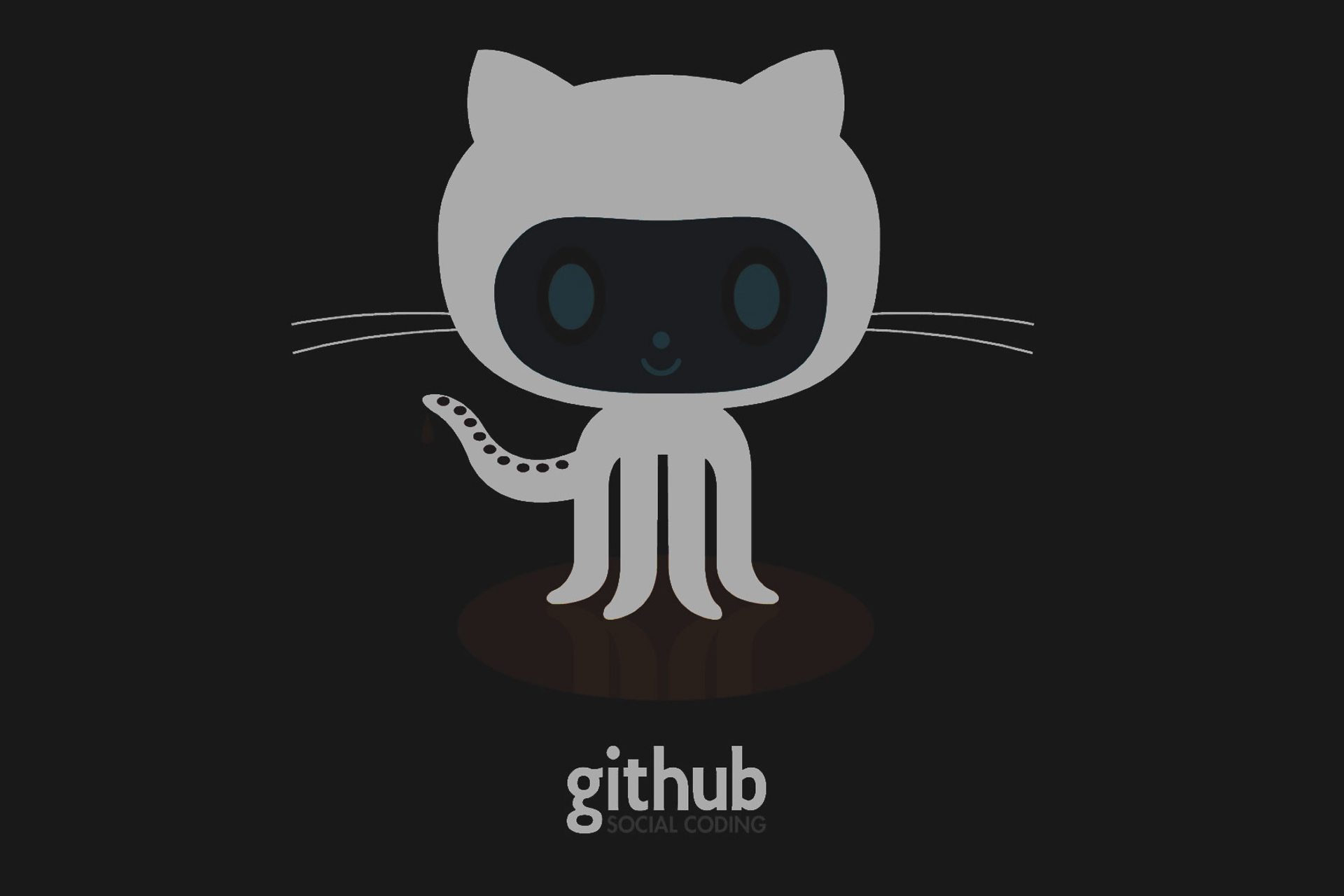 Github owner