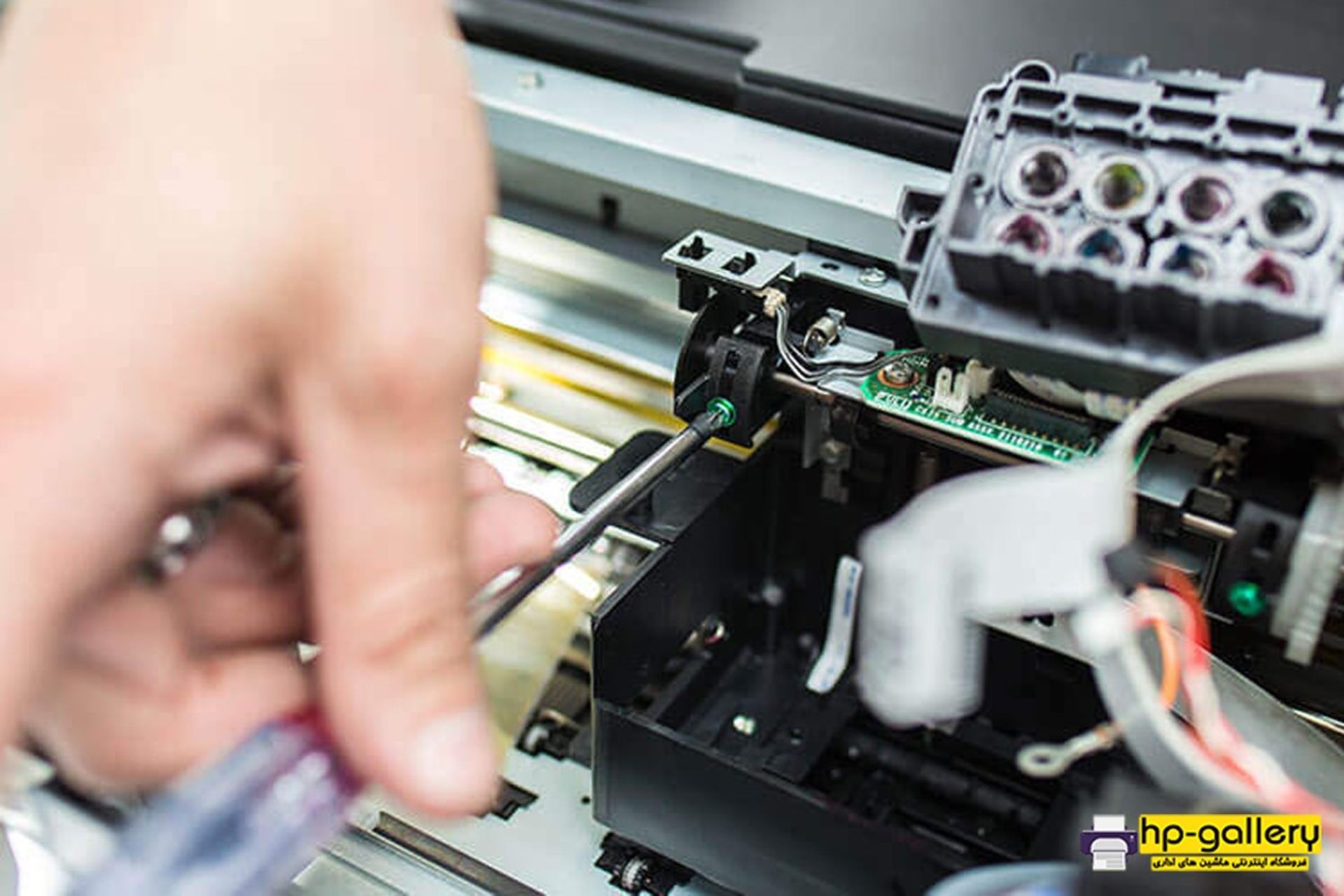 اچ پی گالری