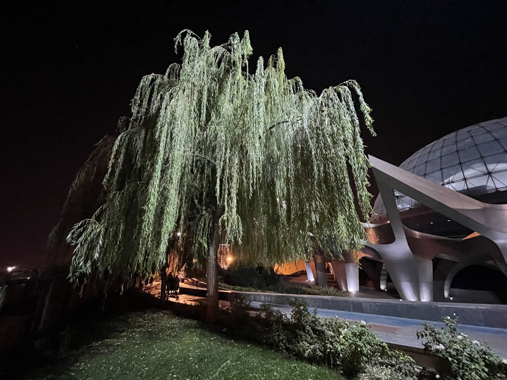 نمونه عکس دوربین اولتراواید آیفون ۱۲ پرو اپل در تاریکی - درختی در کنار گنبد مینا پارک آب و آتش تهران