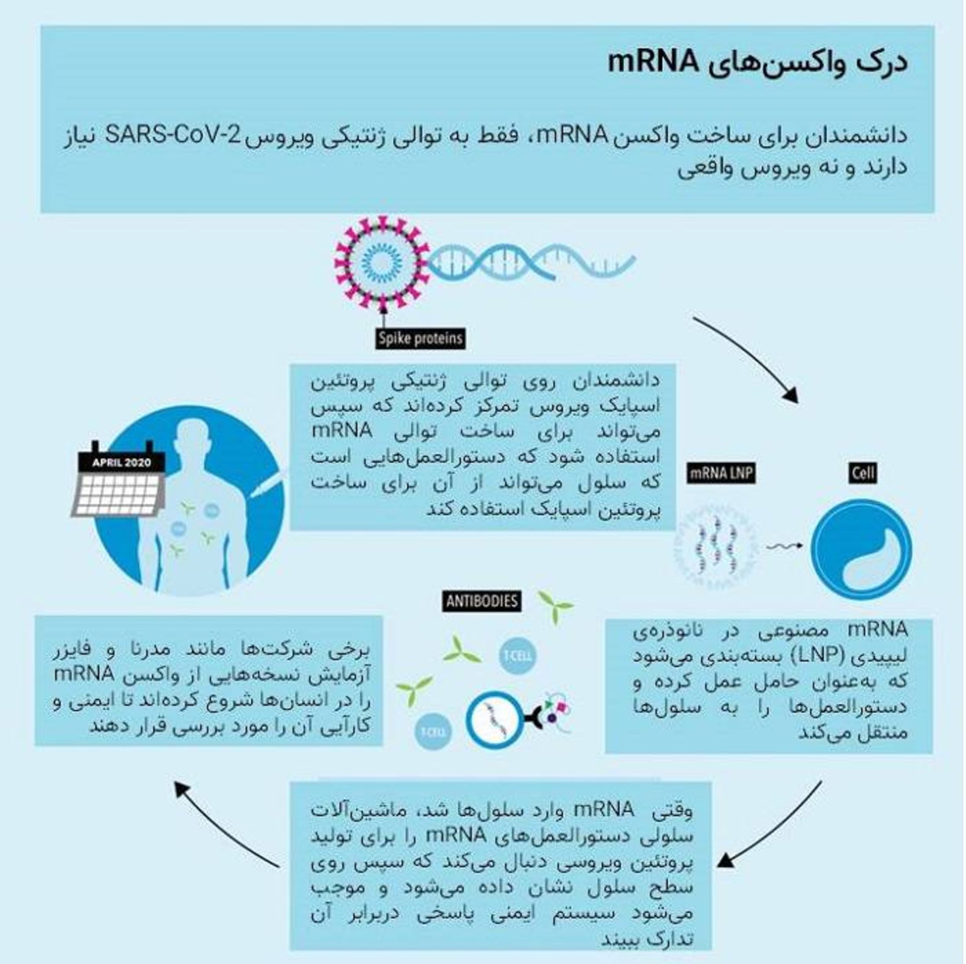 روند ساخت واکسن mRNA / mRNA vaccine process