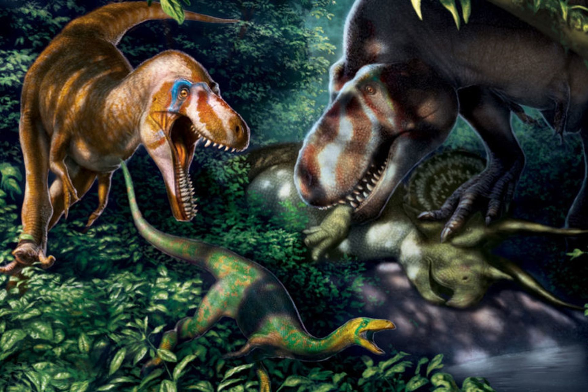 coolest dinosaur findings of 2020/کشف های جالب دایناسورها