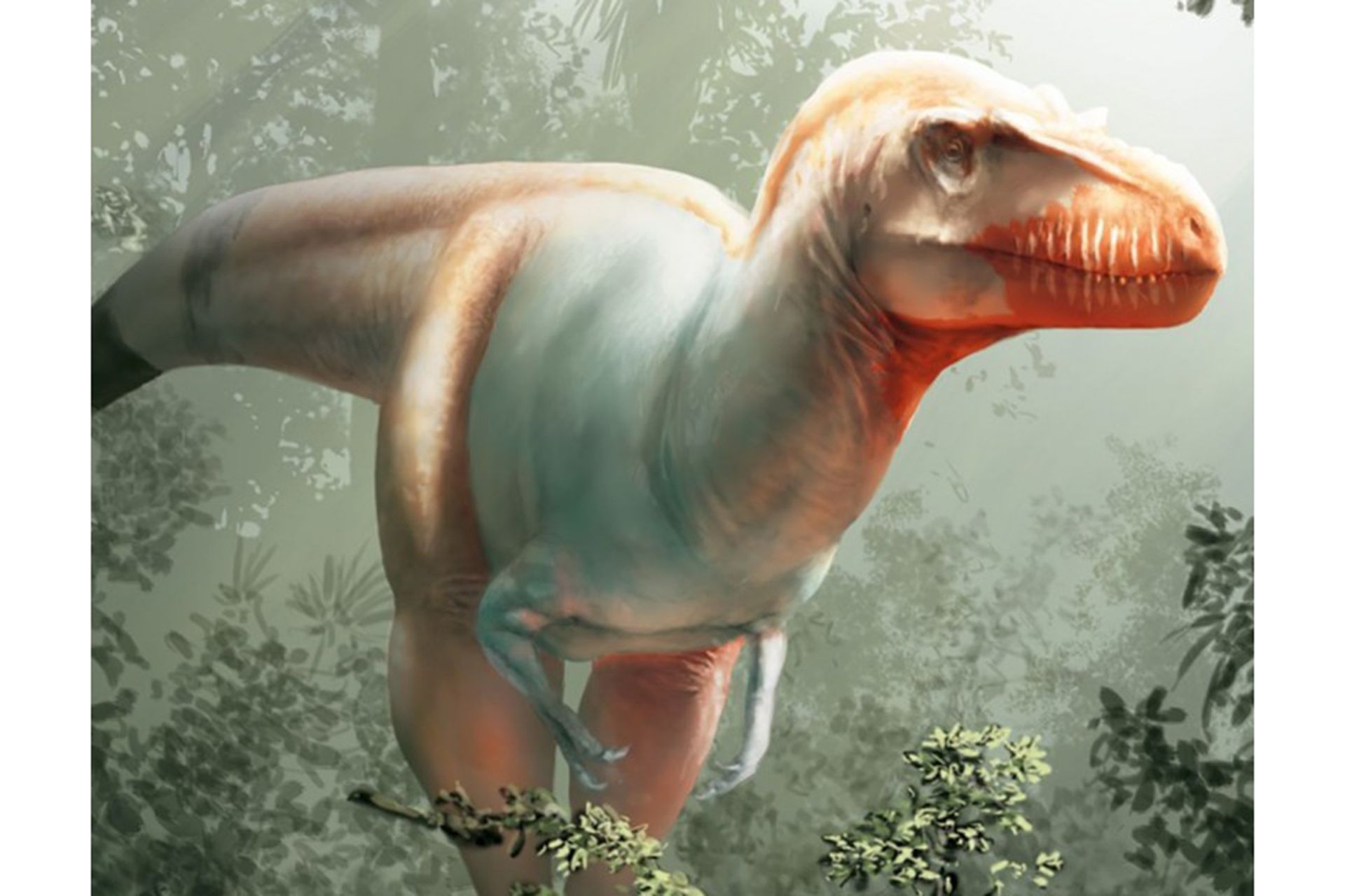 coolest dinosaur findings of 2020/کشف های جالب دایناسورها