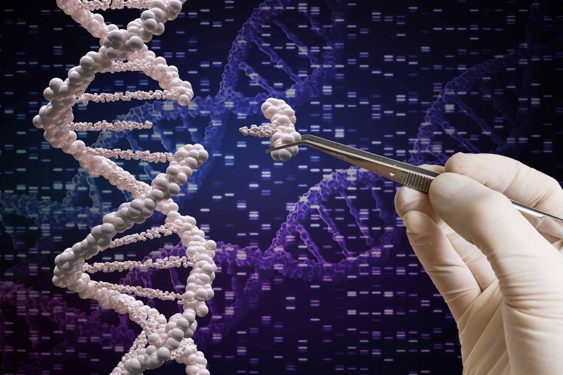 ویرایش دی ان ای/ Editing  DNA