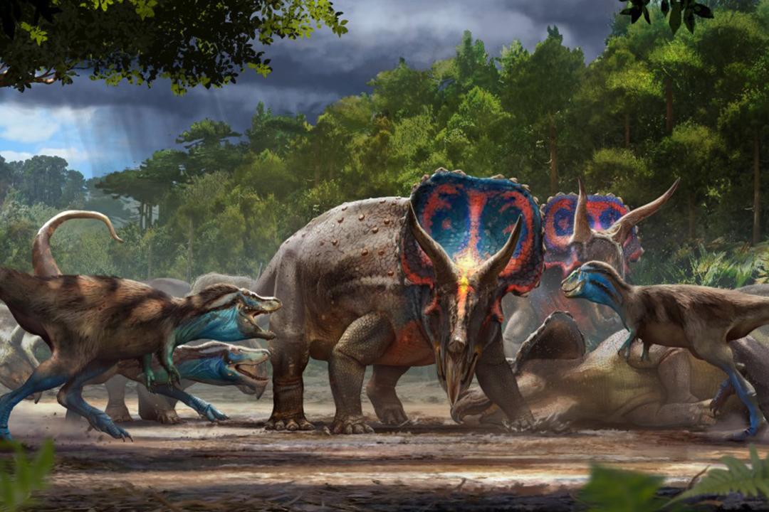 coolest dinosaur findings of 2020/کشف های جالب دایناسورها