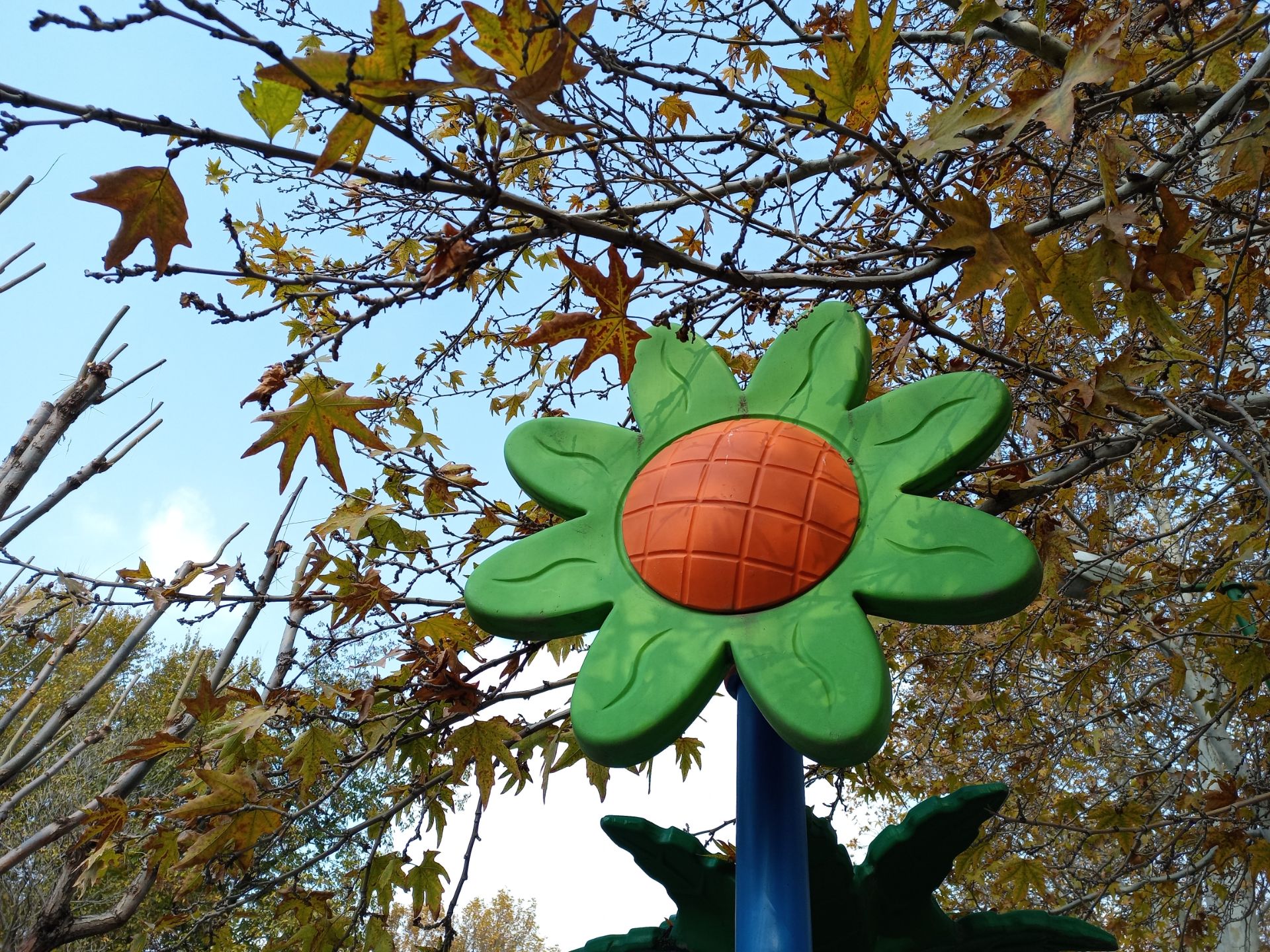 نمونه عکس ۲ برابری دوربین اصلی گوشی هواوی Y9a در طول روز - طرح‌واره‌ای از گل در پارک ملت تهران