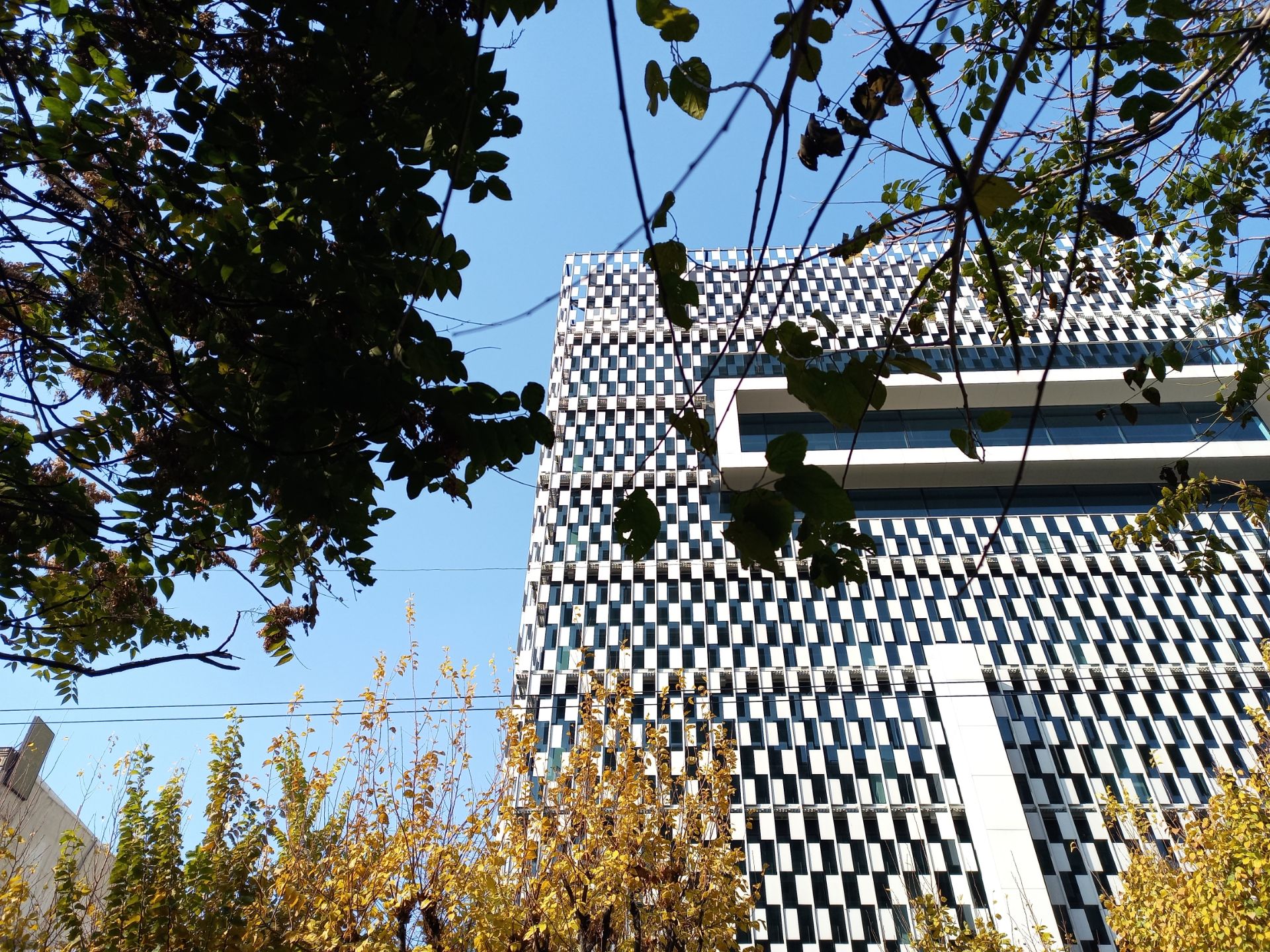 نمونه عکس دوربین اصلی گوشی هواوی Y9a در طول روز - ساختمانی در خیابان جردن تهران