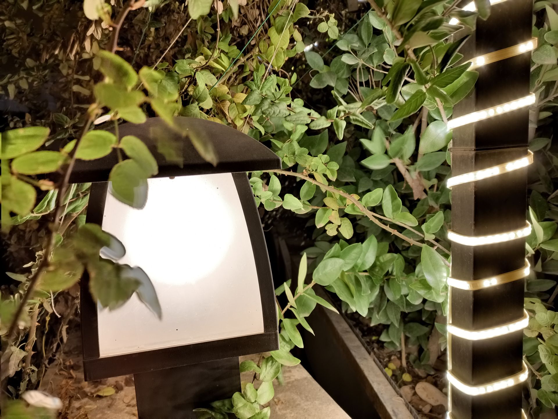 نمونه عکس ۲ برابری دوربین اصلی گوشی هواوی Y9a در تاریکی - چراغی در میان گیاهان پارک آب و آتش تهران