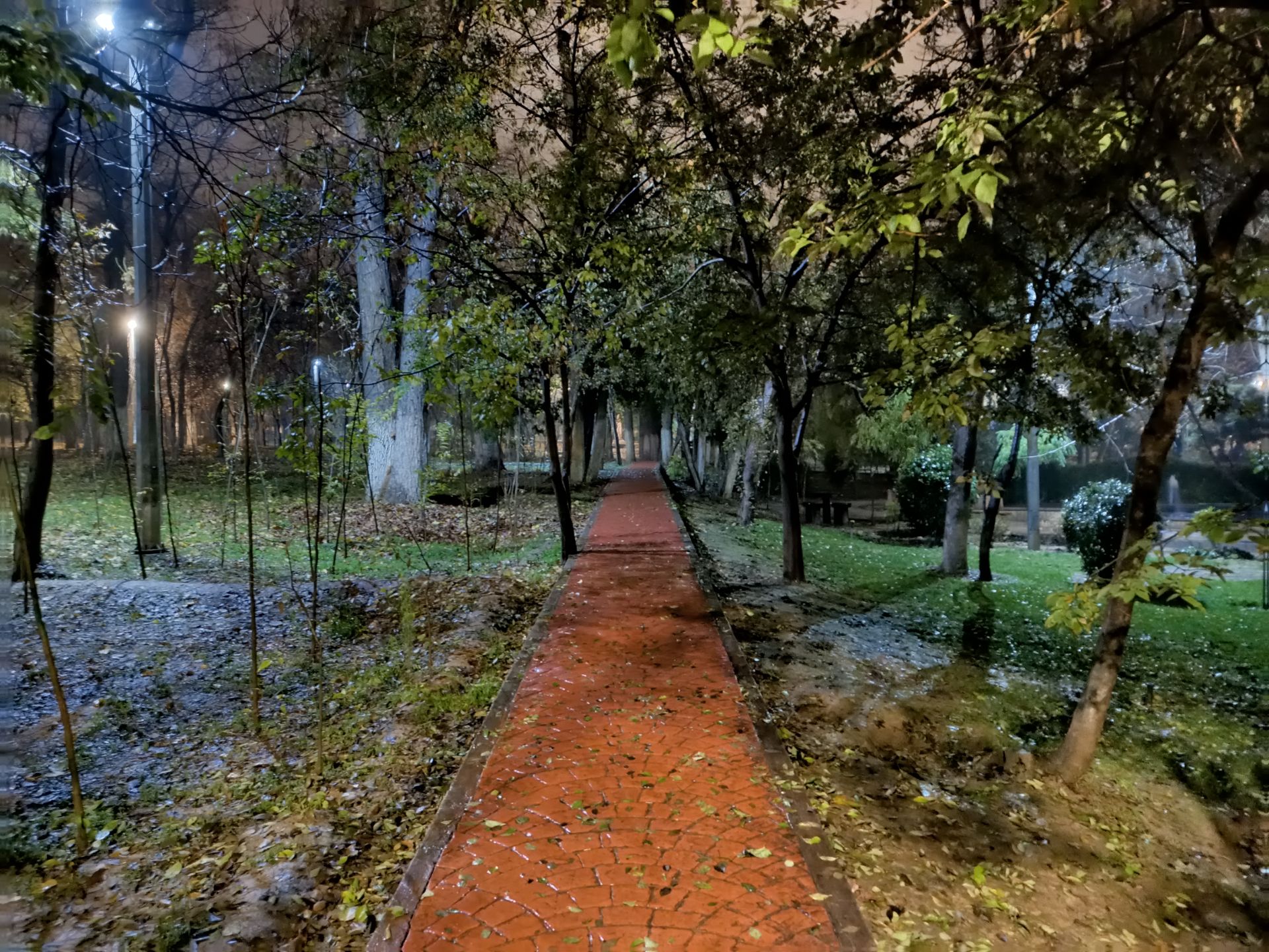 نمونه عکس ۲ برابری دوربین اصلی گوشی هواوی Y9a در تاریکی - تصویر پارکی در تهران