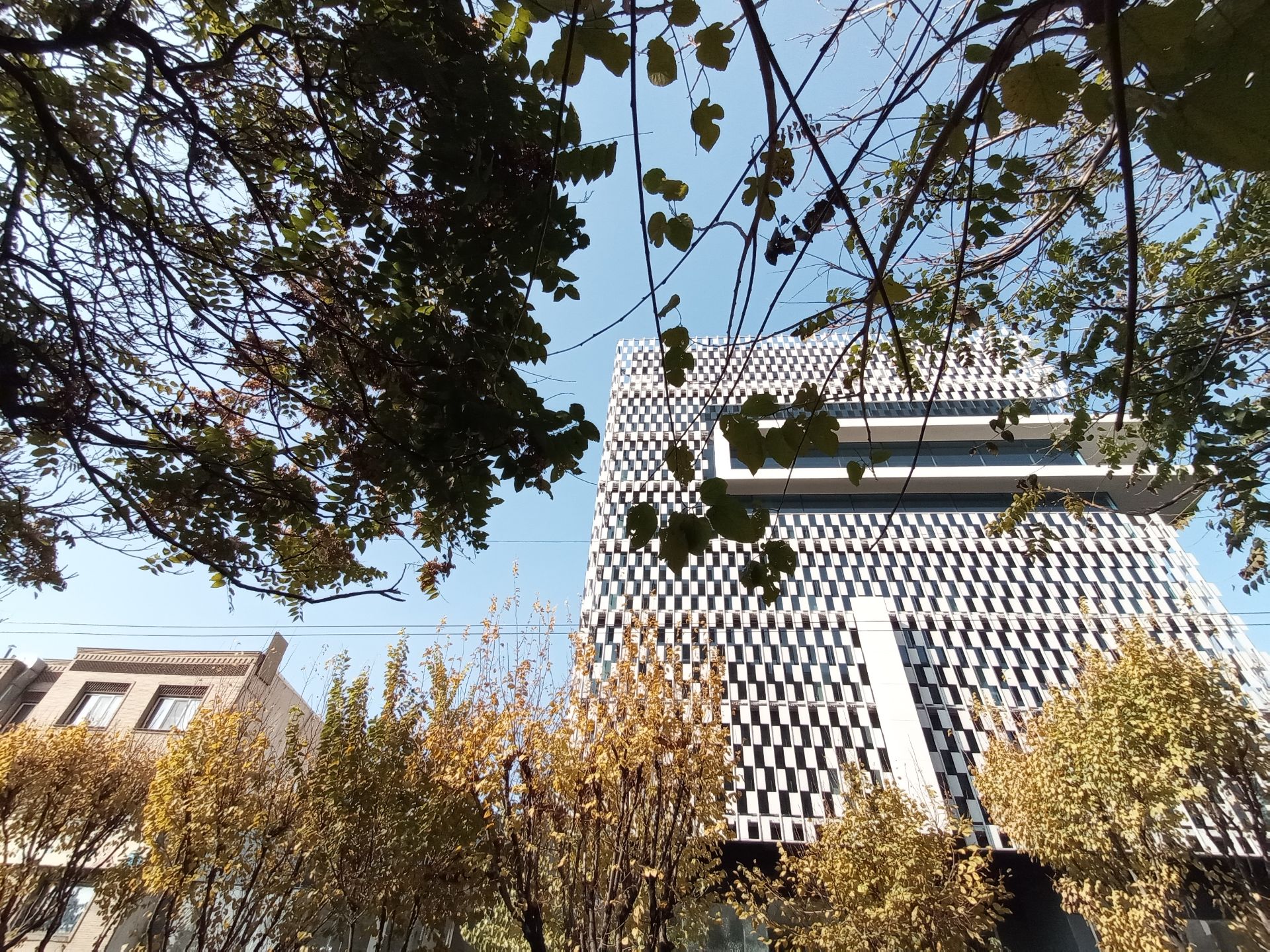 مرجع متخصصين ايران نمونه عكس دوربين اولتراوايد موبايل هواوي Y9a در طول روز - ساختماني در خيابان جردن تهران
