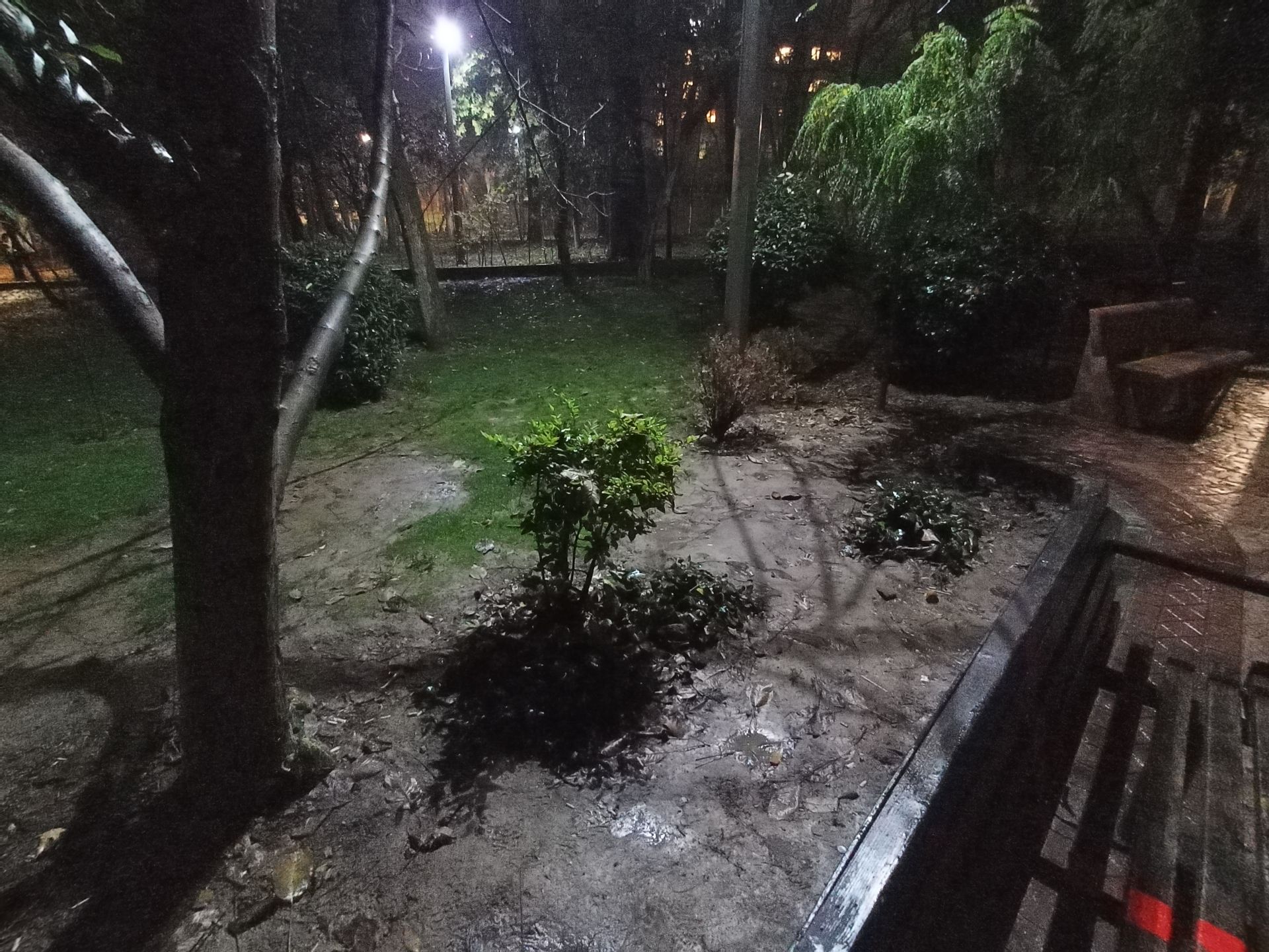 نمونه عکس دوربین اولتراواید گوشی هواوی Y9a در تاریکی - تصویر عریضی از یک پارک در تهران