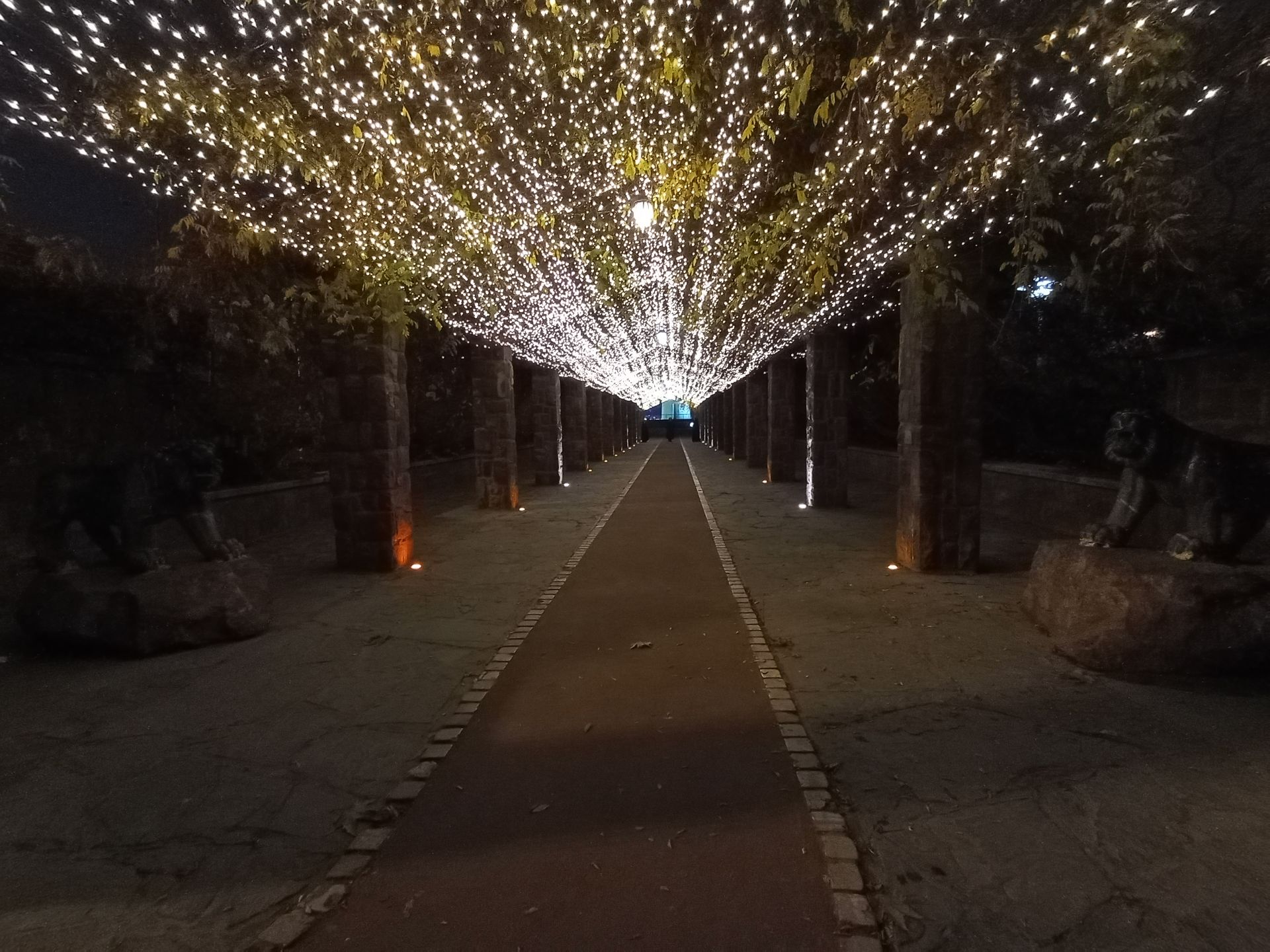 نمونه عکس دوربین اولتراواید گوشی هواوی Y9a در تاریکی - چراغانی یکی از ورودی‌های فرعی پارک آب و آتش تهران