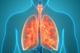 بررسی دقیق سیستم تنفسی و ریه‌ها؛ عملکرد، بیماری‌ها و درمان