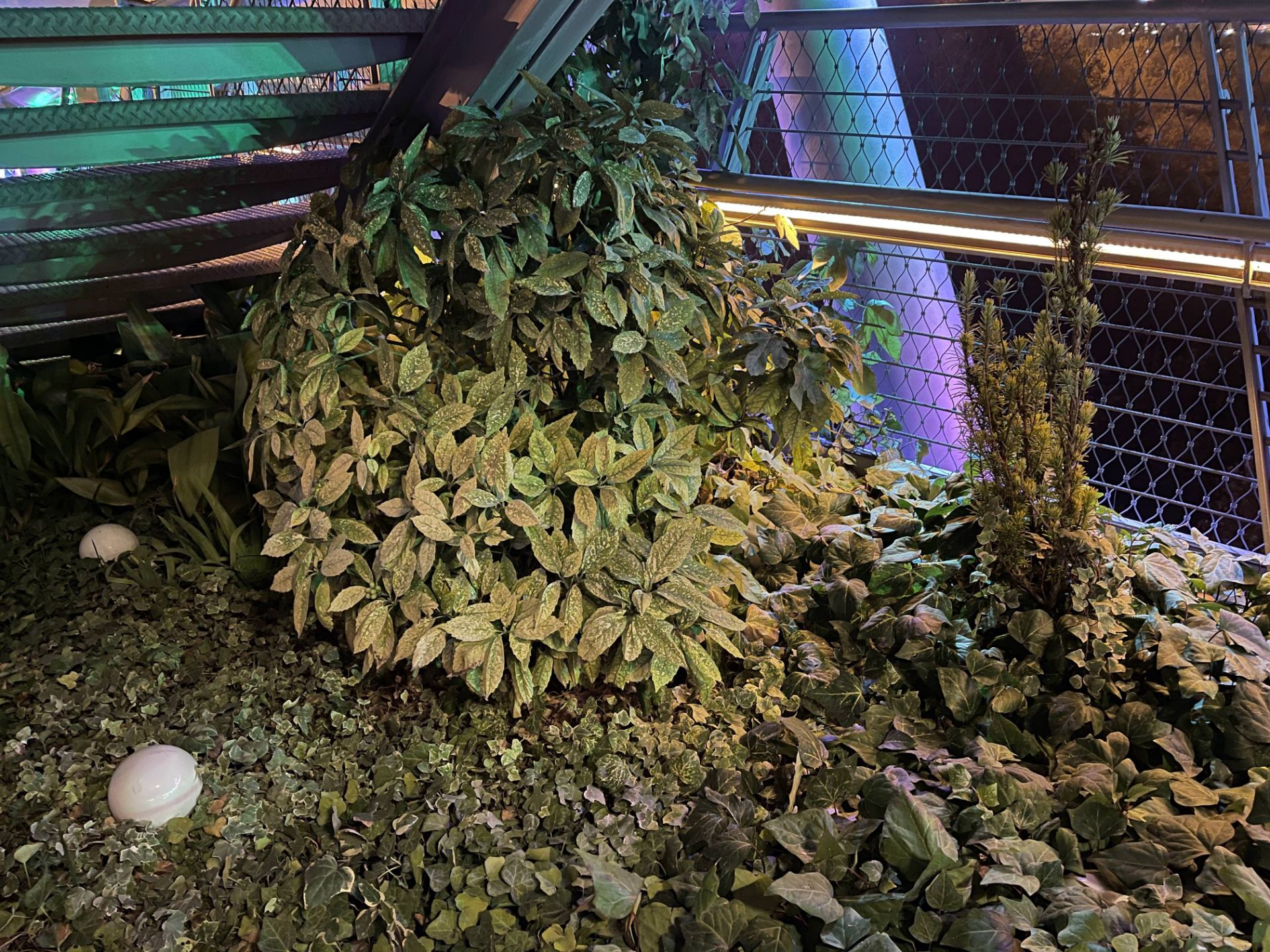 نمونه‌عکس دوربین اصلی آیفون ۱۲ پرو مکس در تاریکی - گیاهی روی پل طبیعت تهران