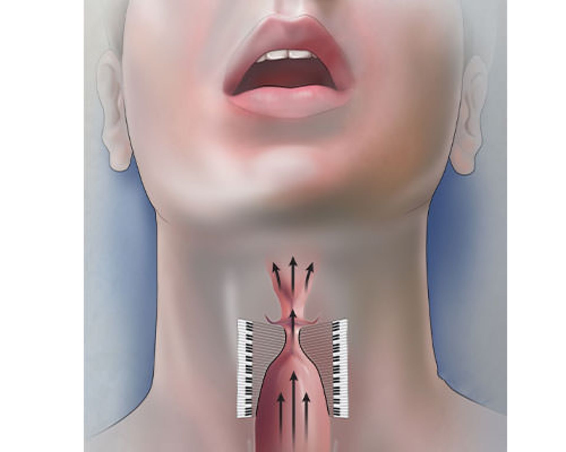 حنجره و تارهای صوتی