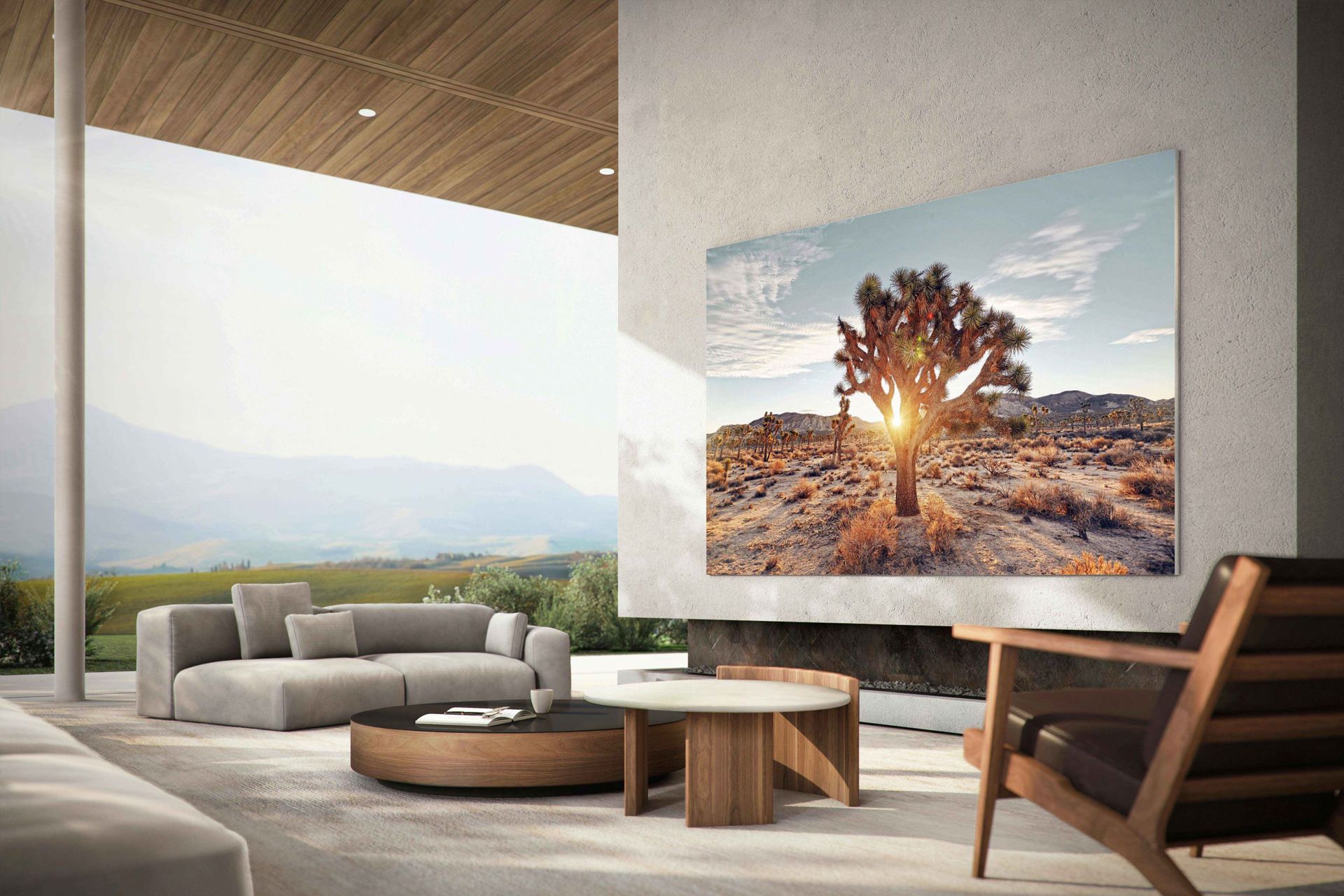 تلویزیون 110 میکرو LED سامسونگ روی دیوار درحال نمایش درخت