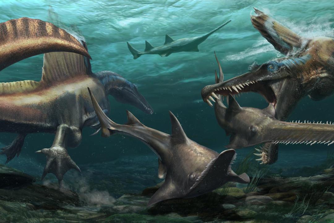 coolest dinosaur findings of 2020/کشف های جالب دایناسورها