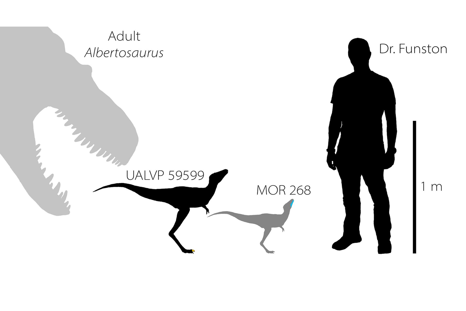 coolest dinosaur findings of 2020/کشف های جالب دایناسورها