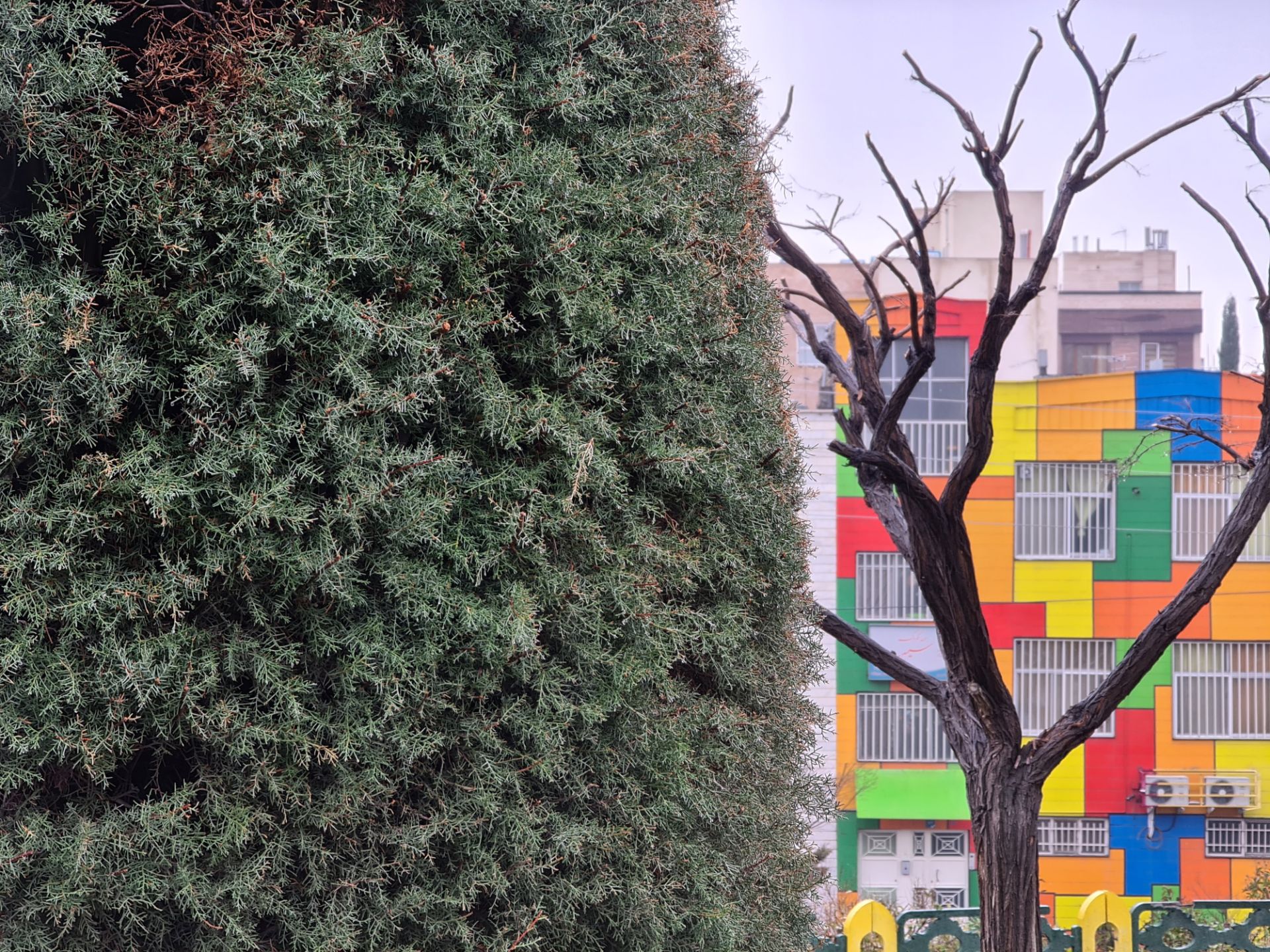 نمونه‌عکس‌های گلکسی S20 اولترا