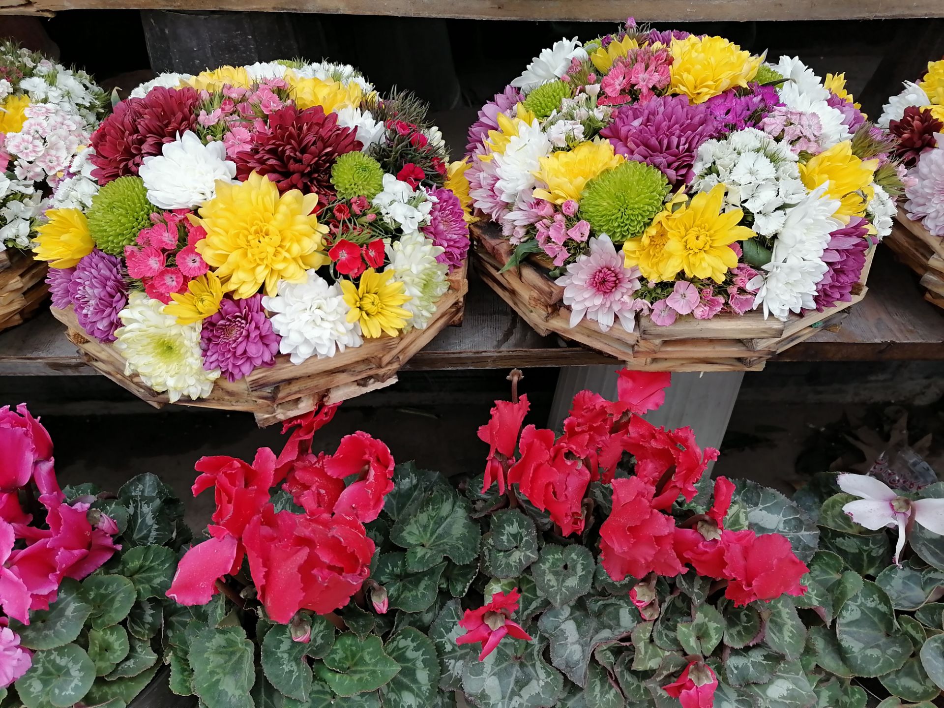 نمونه‌عکس هواوی  وای ۹ اس - AI on