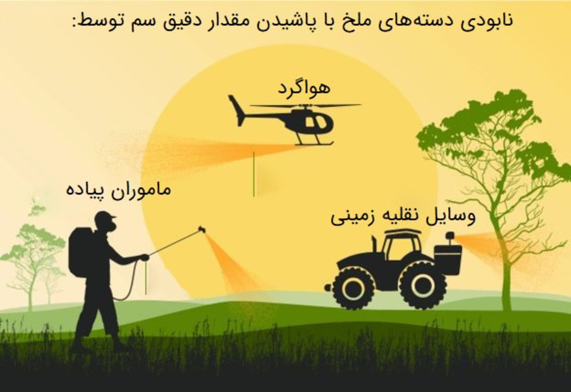 نحوه مقابله با ملخ
