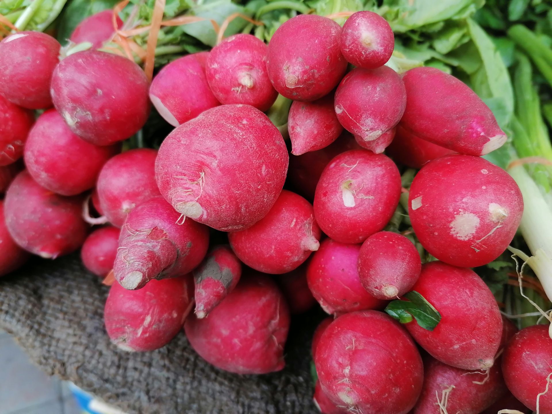 نمونه‌عکس Y9s در طول روز