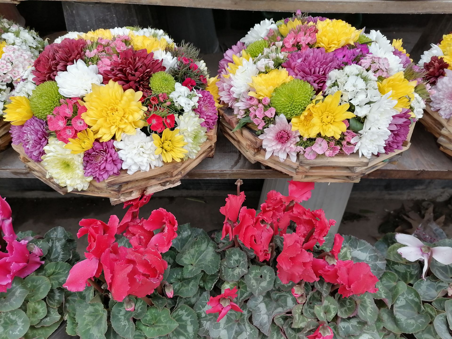 نمونه‌عکس هواوی  وای ۹ اس - AI off