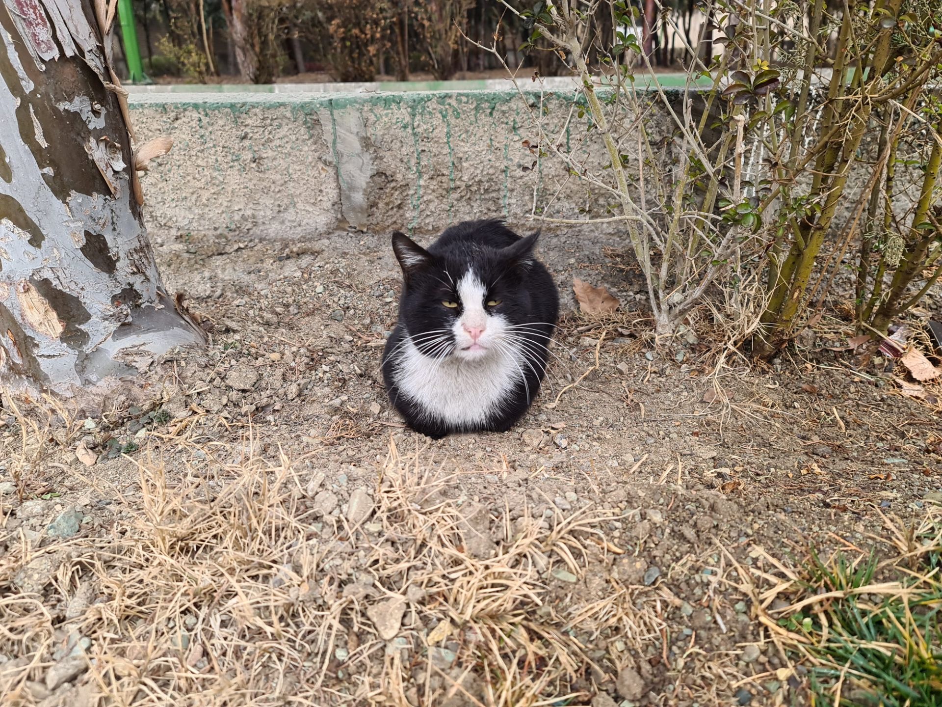 Galaxy S20 Ultra Sample Day Light