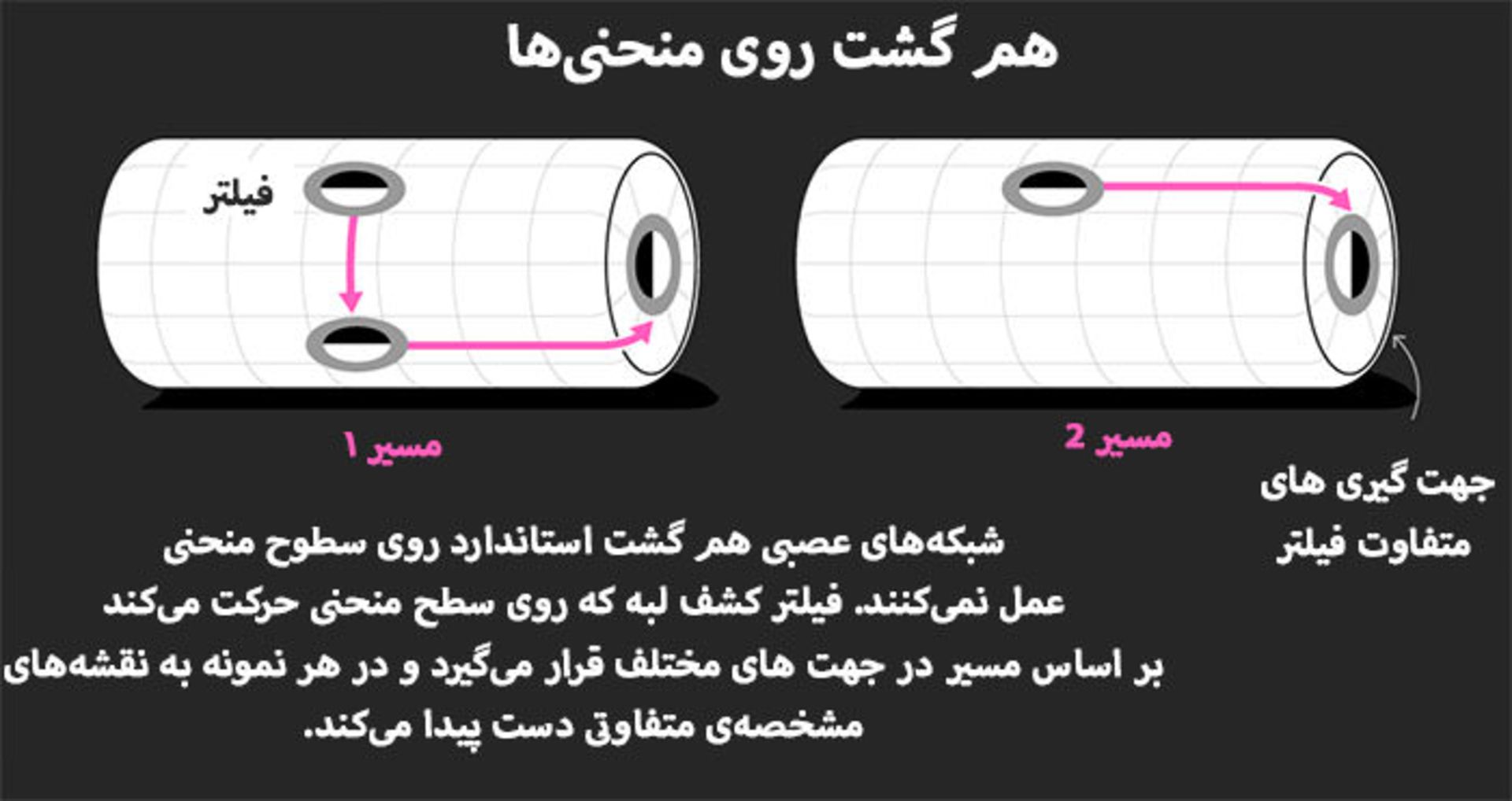 هم وردایی