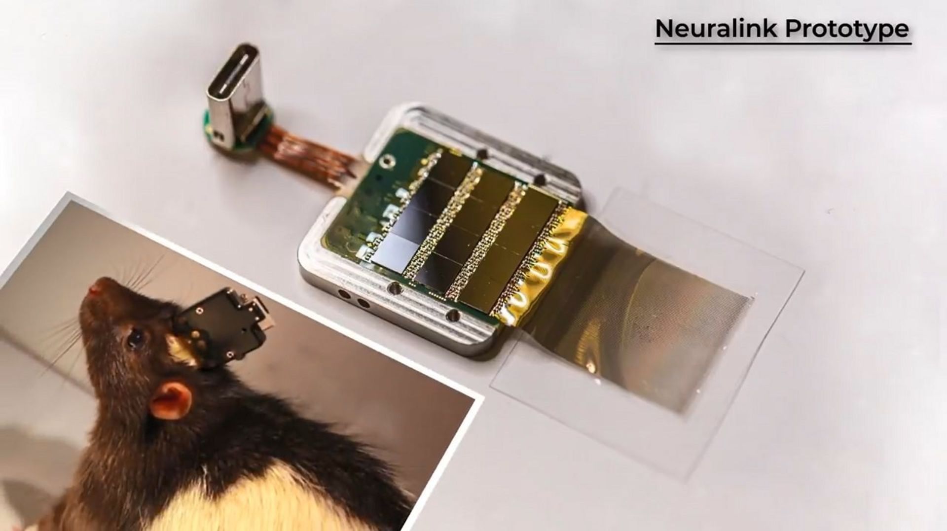 Neuralink Prototype / نمونه آزمایشی نورالینک