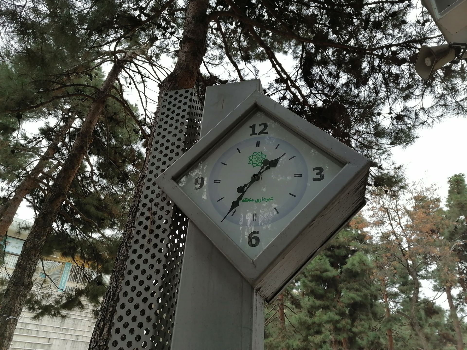 نمونه‌عکس Y9s در طول روز